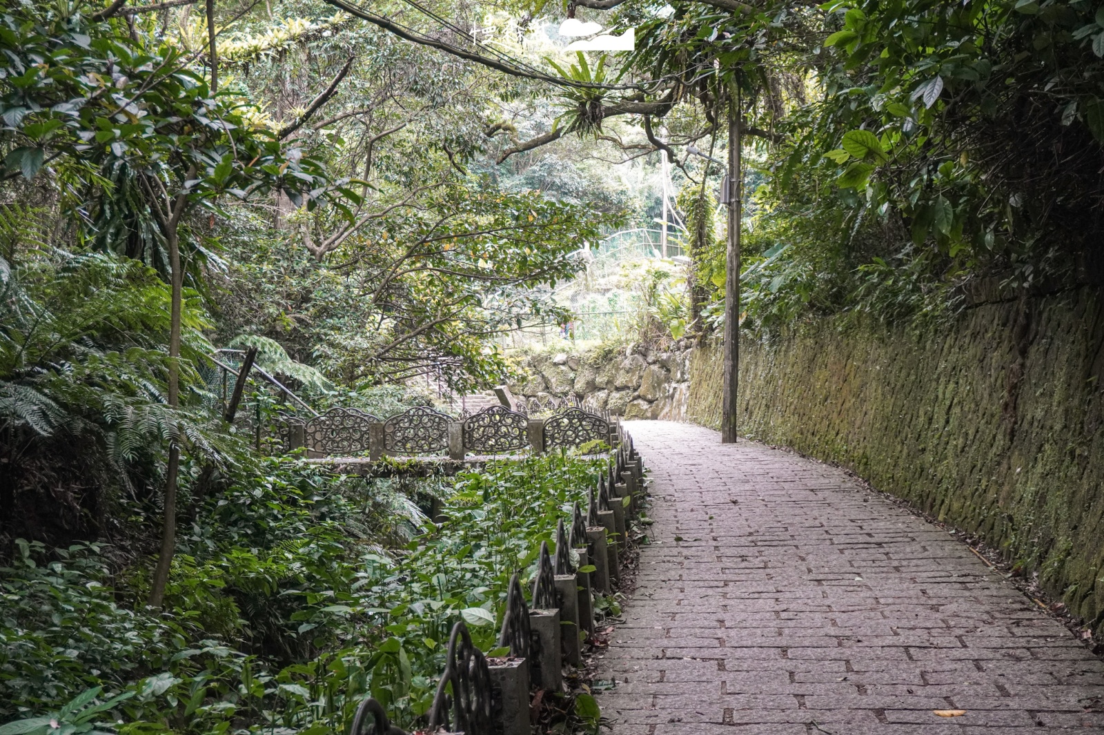 台北市信義區虎山溪步道