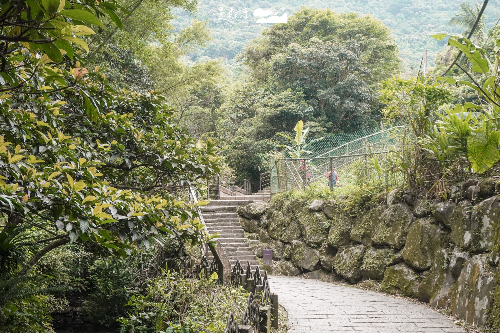 台北市信義區 虎山溪步道