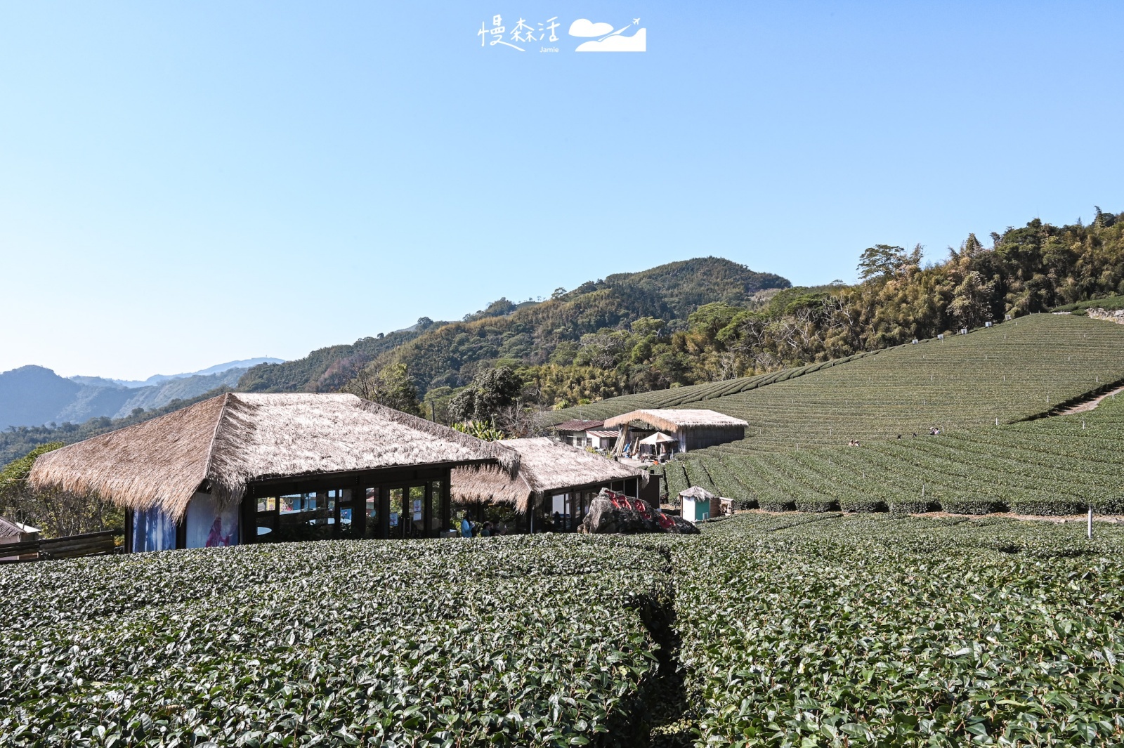 嘉義阿里山「優遊吧斯」