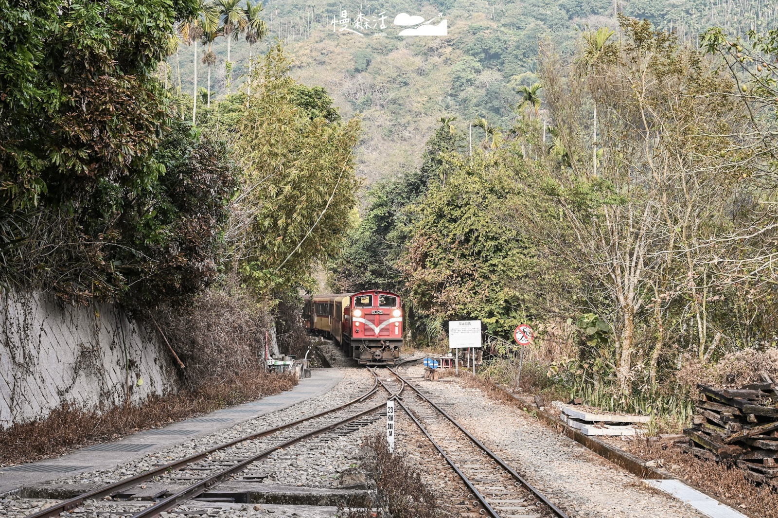 嘉義阿里山小火車