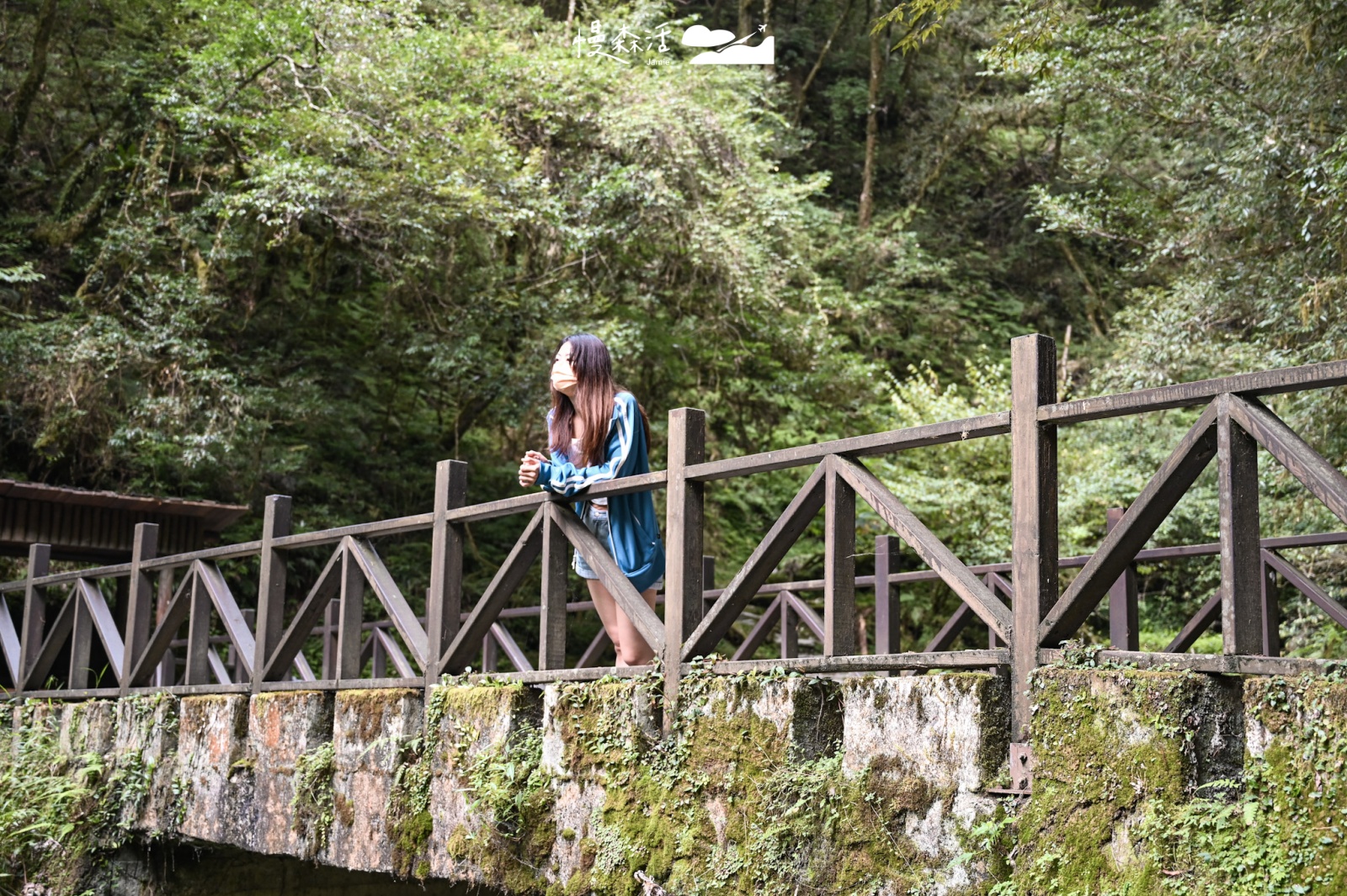 桃園復興區 拉拉山國家森林遊樂區 拉拉山巨木區 橋墩