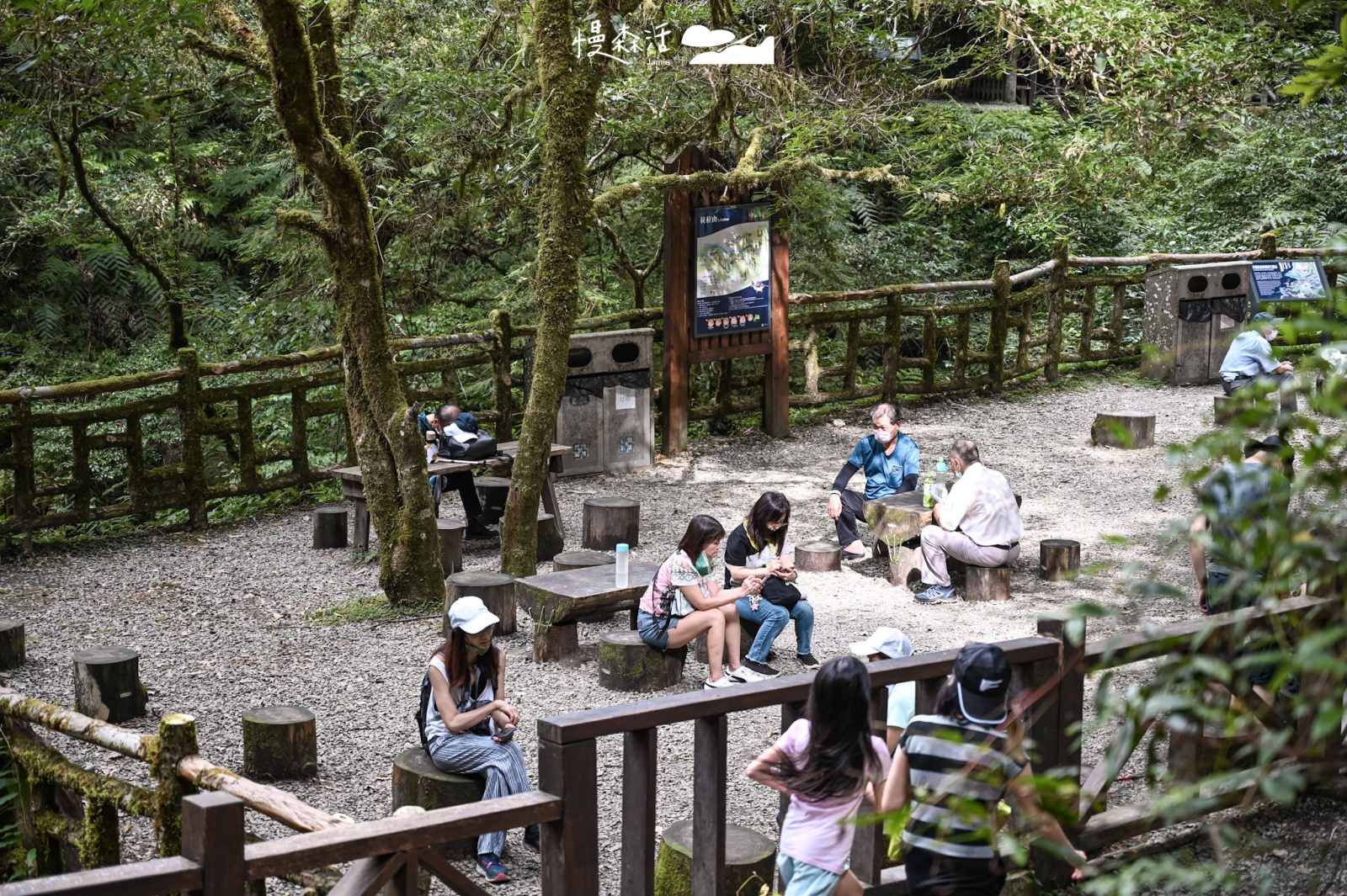 桃園復興區 拉拉山國家森林遊樂區 拉拉山巨木區 休憩區