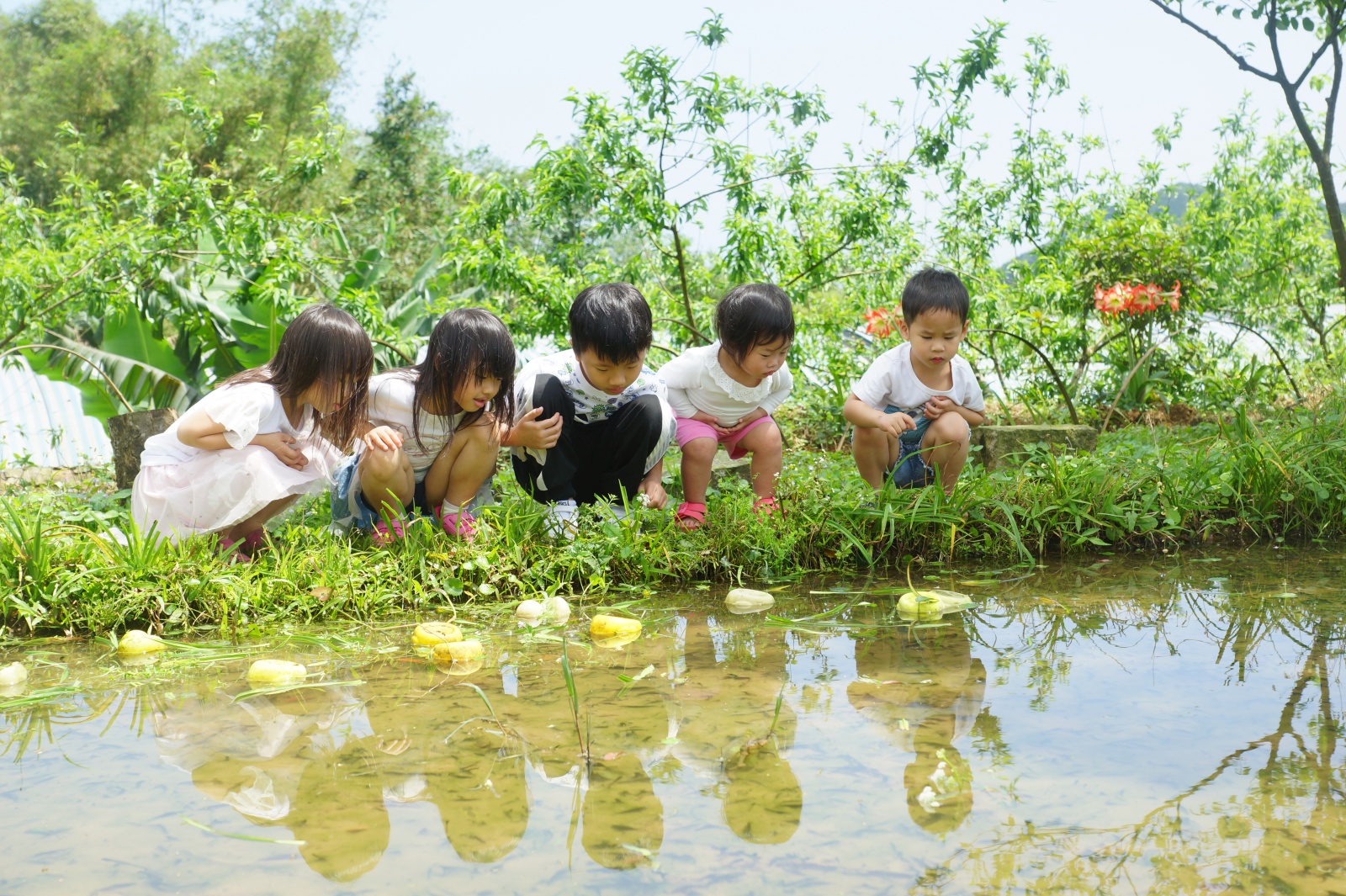 新北市貢寮區 2023貢寮水T藝術節 雞母嶺