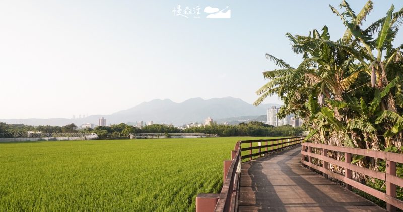 夏天避暑景點！台北8個山林步道秘境咖啡茶館推薦