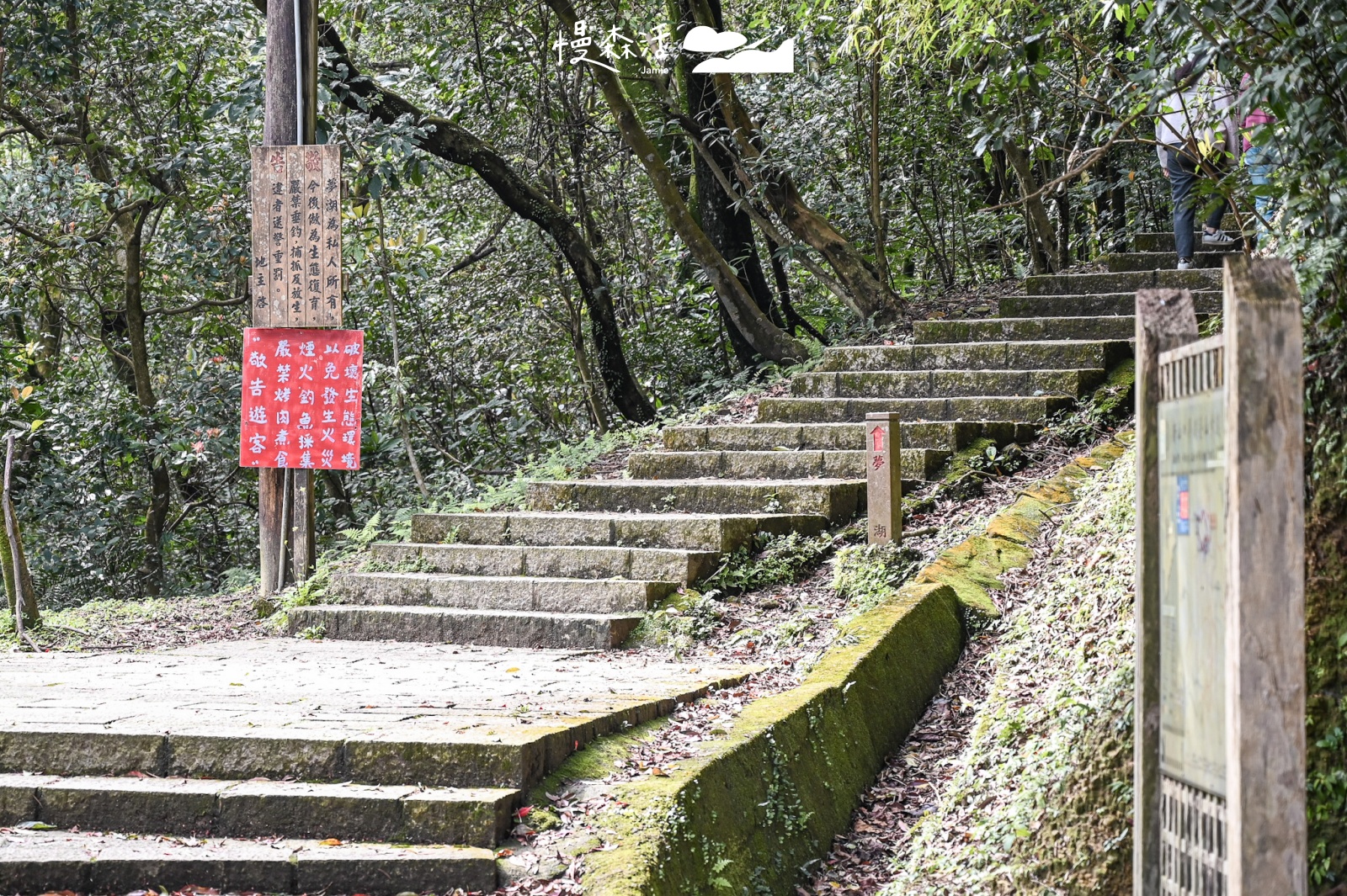 新北市汐止區｜新山夢湖步道