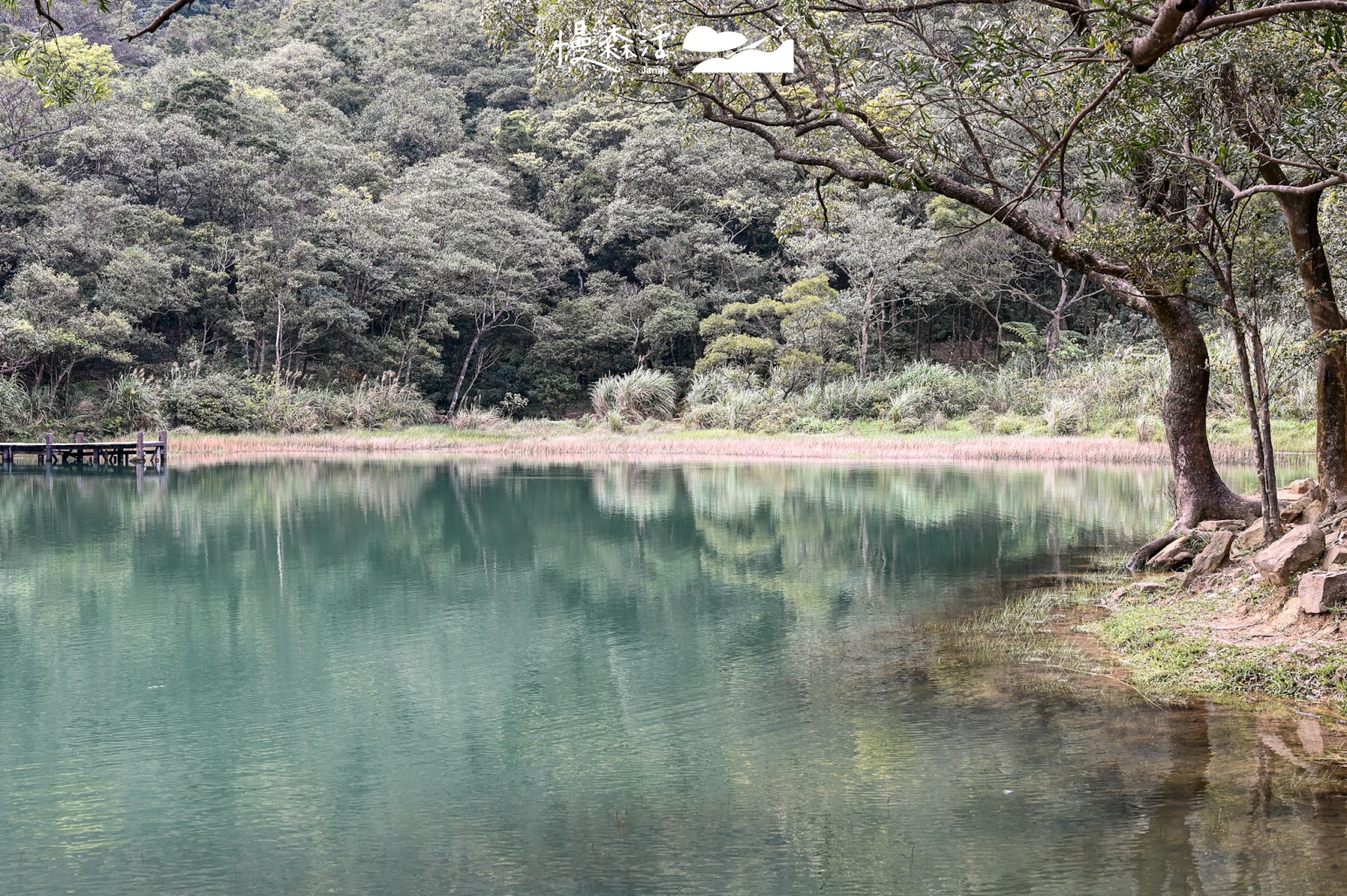 新北市汐止區｜新山夢湖步道