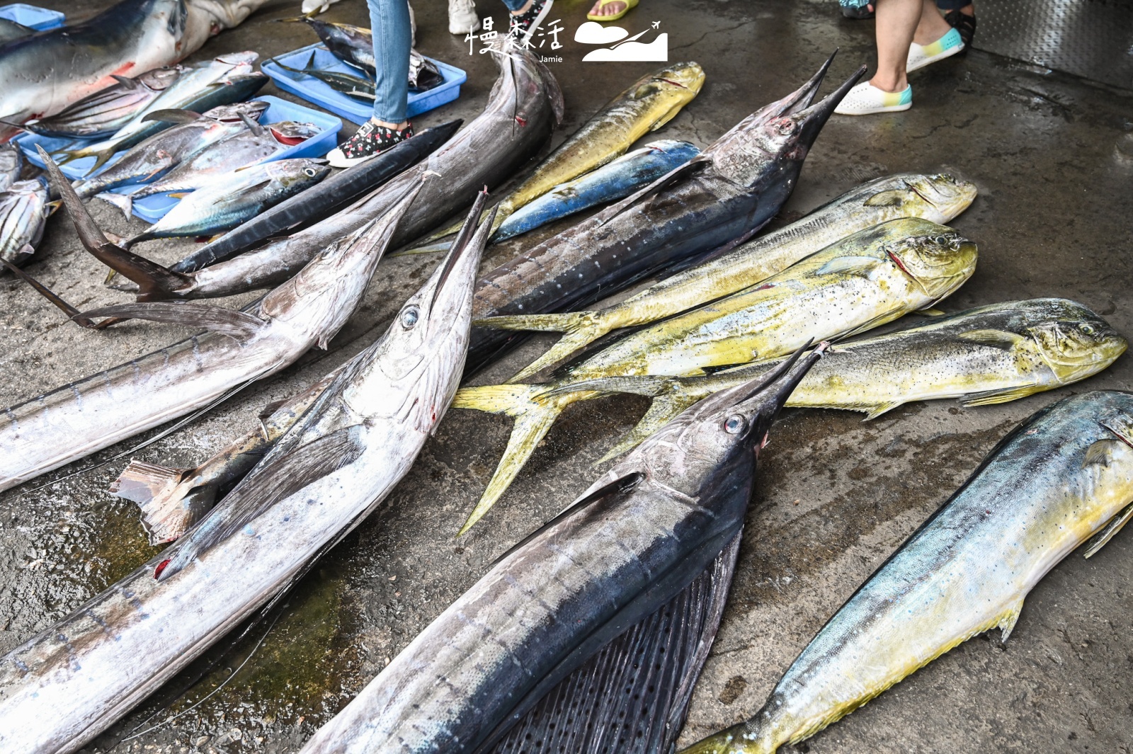 台東縣成功鎮 新港漁港 魚貨芭蕉旗魚、鬼頭刀