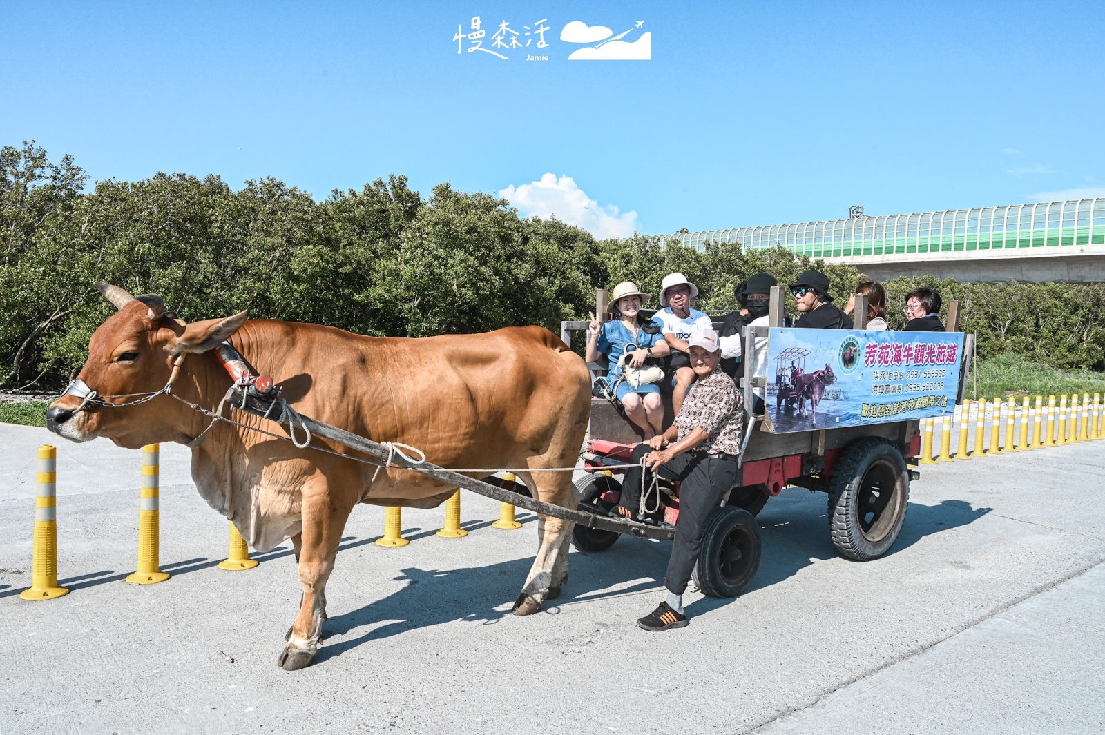 彰化縣芳苑鄉 海牛學校海牛文化體驗