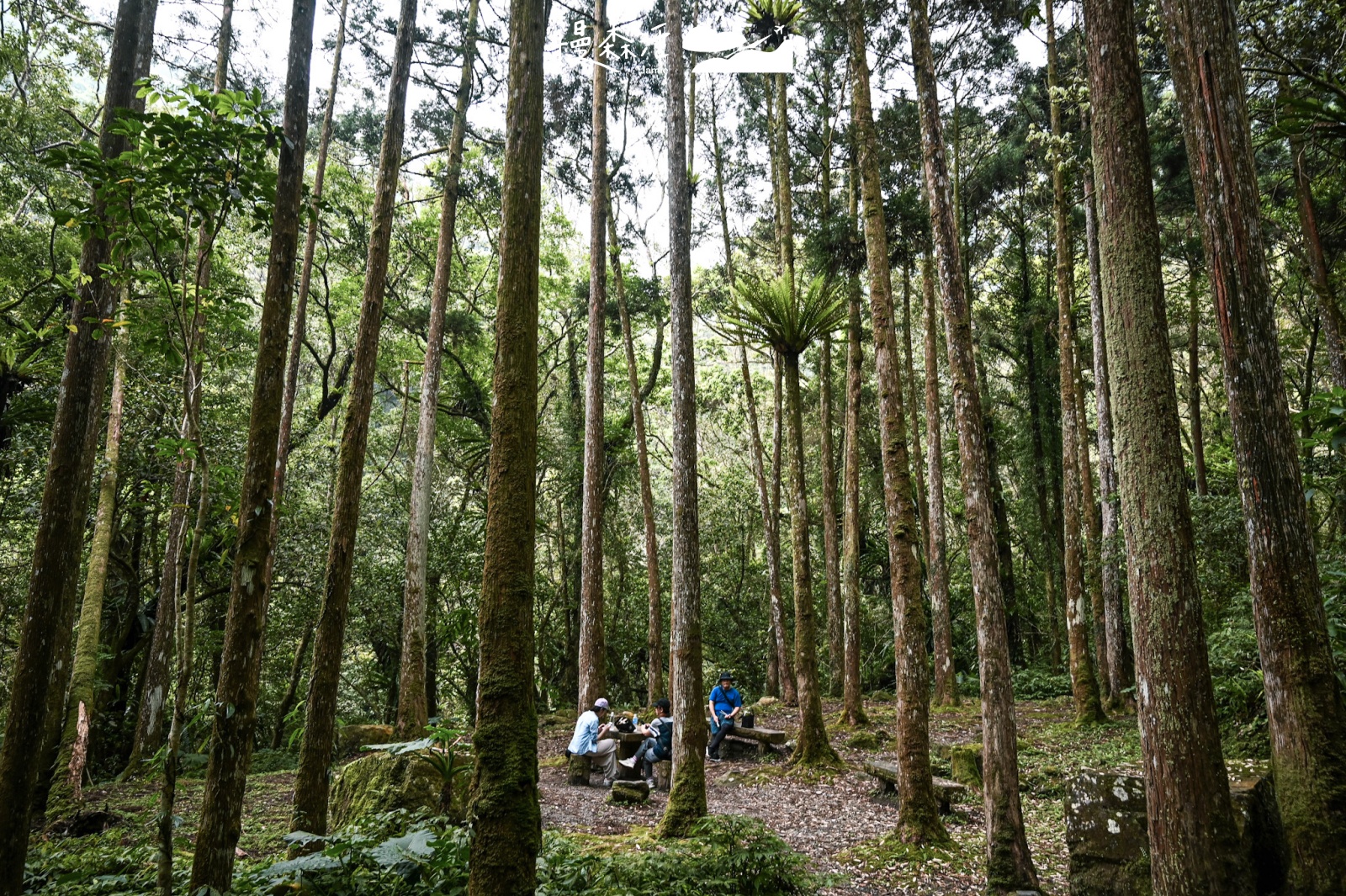 新北市三峽區｜滿月圓國家森林遊樂區