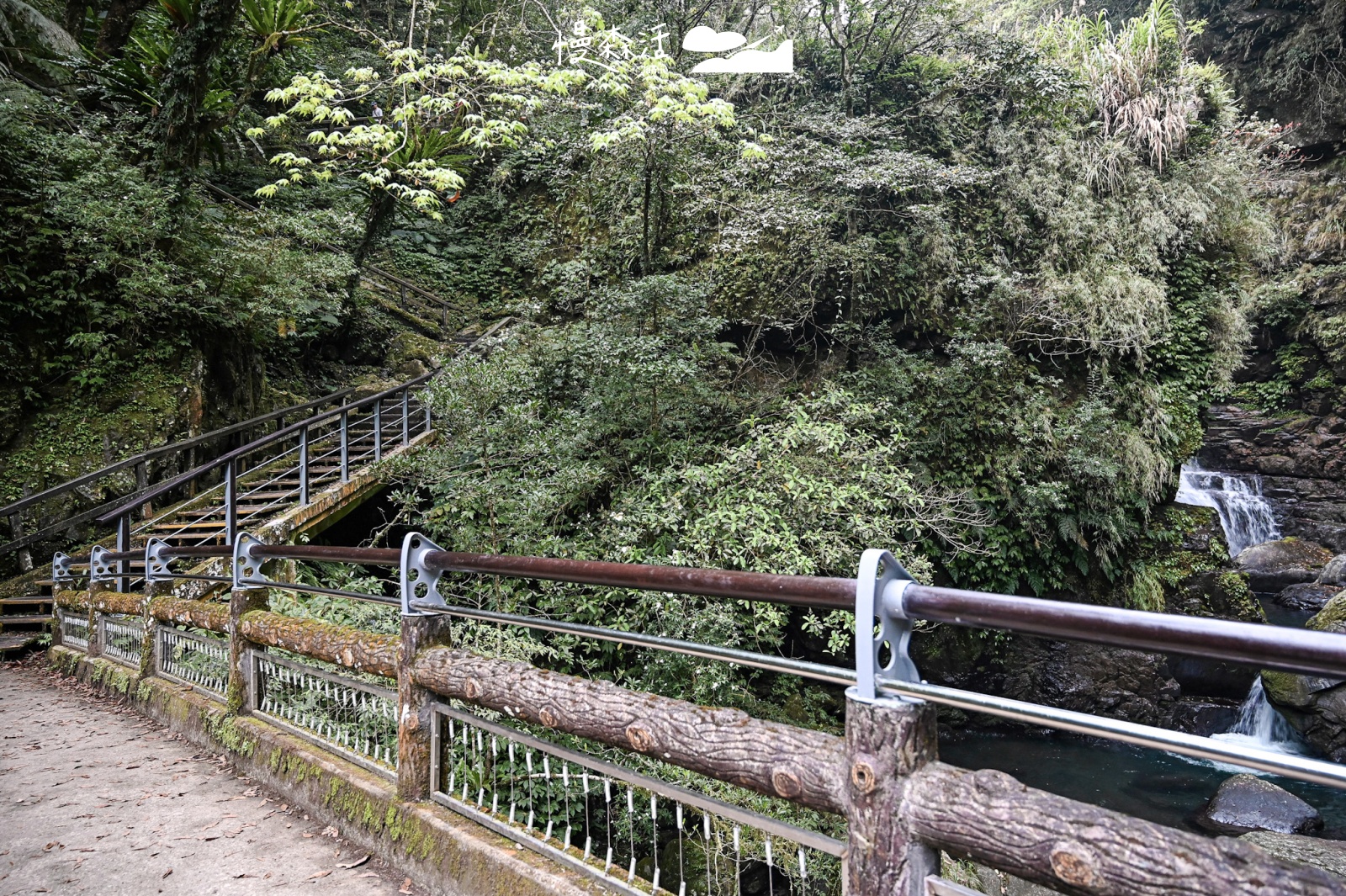 新北市三峽區｜滿月圓國家森林遊樂區