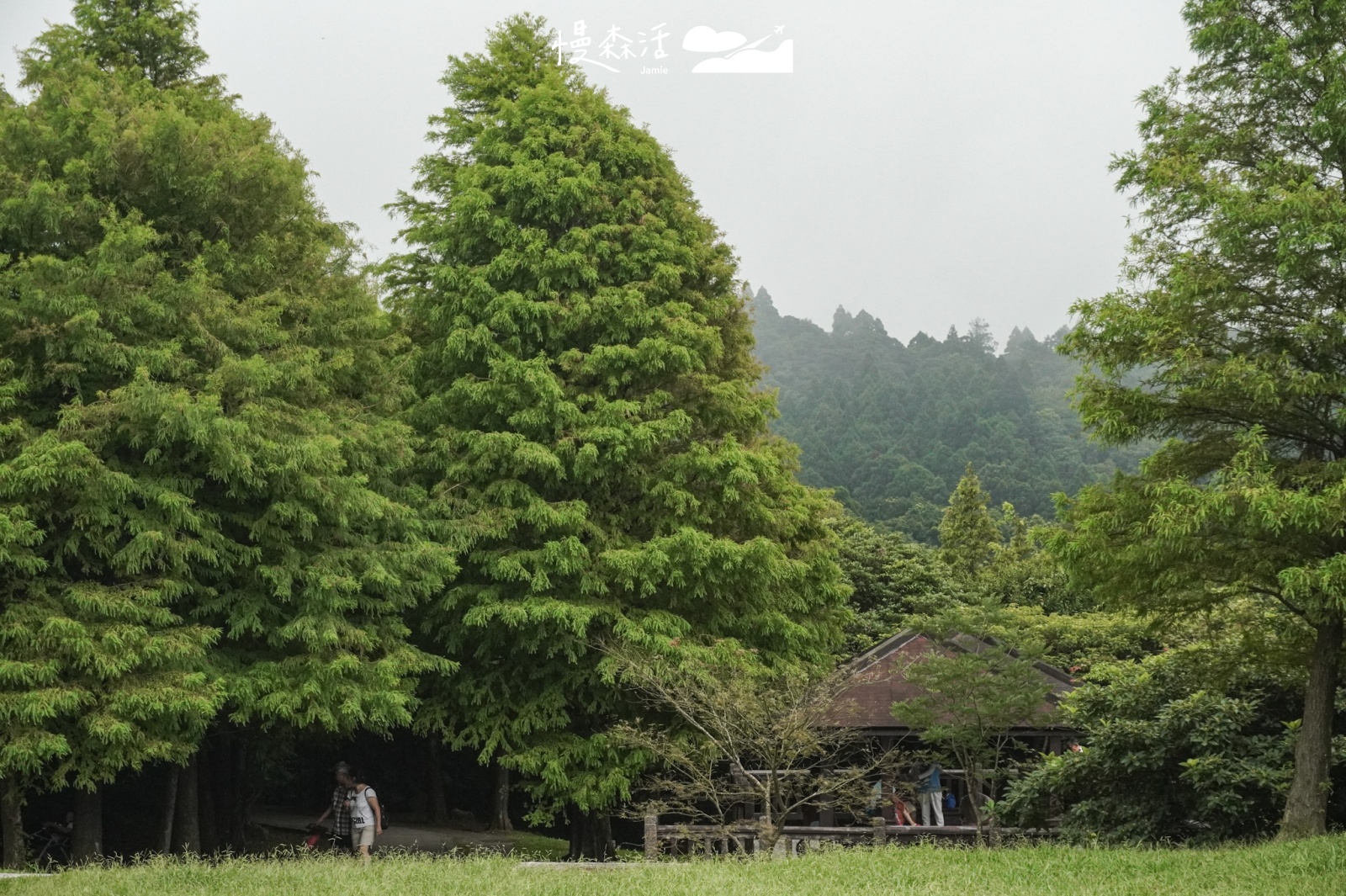 台北市士林區｜陽明山牛奶湖