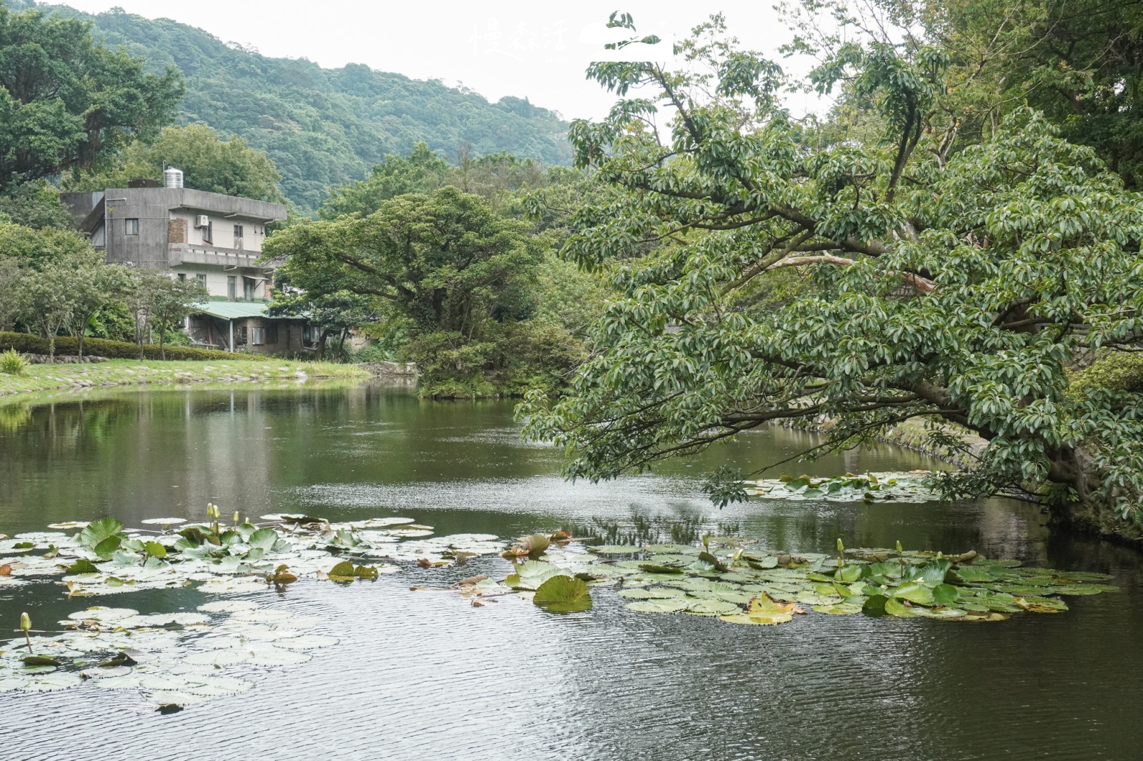 台北市北投區｜陽明山前山公園-陽明湖