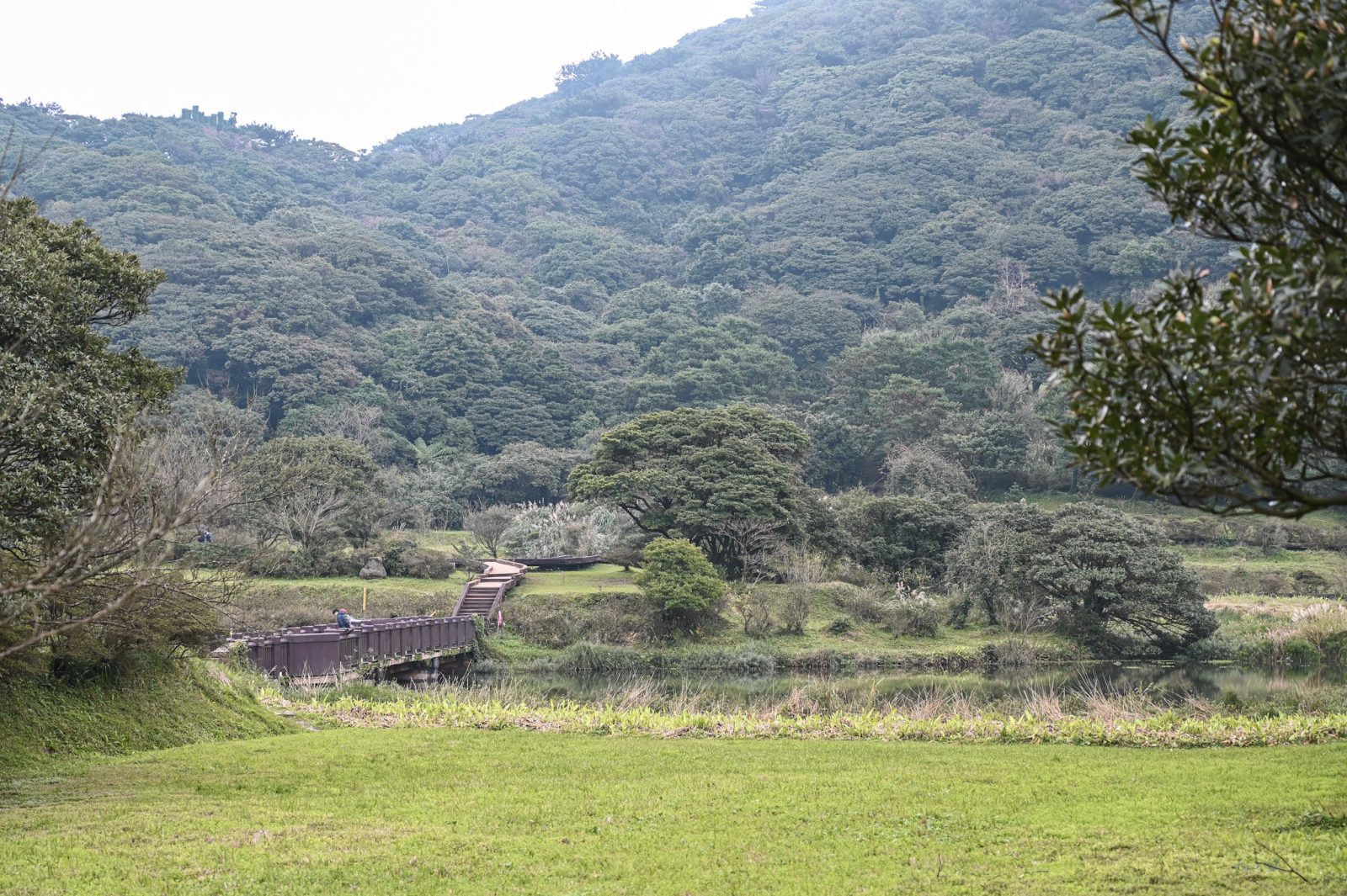 新北市三芝區｜大屯自然公園