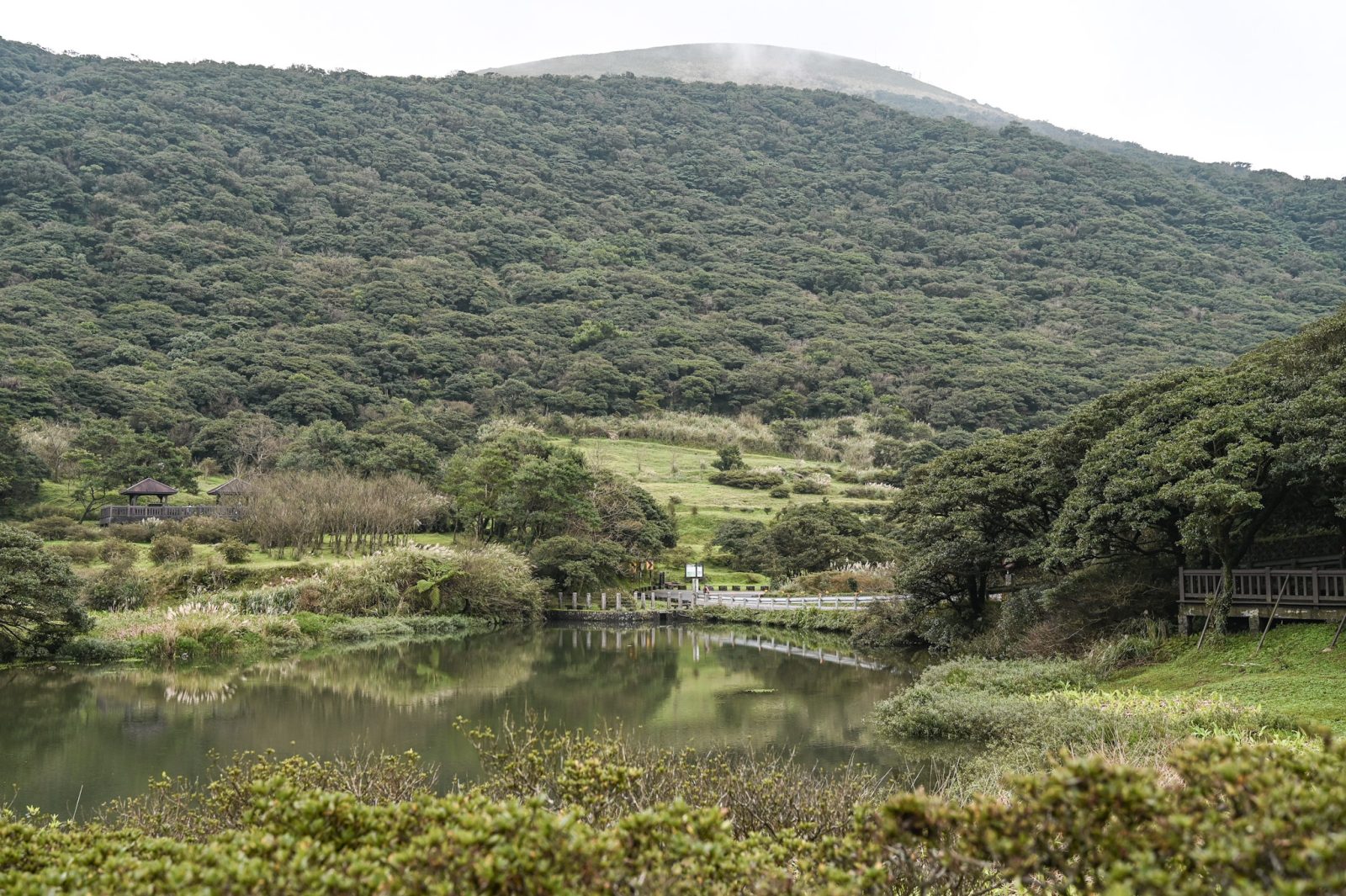 新北市三芝區｜大屯自然公園