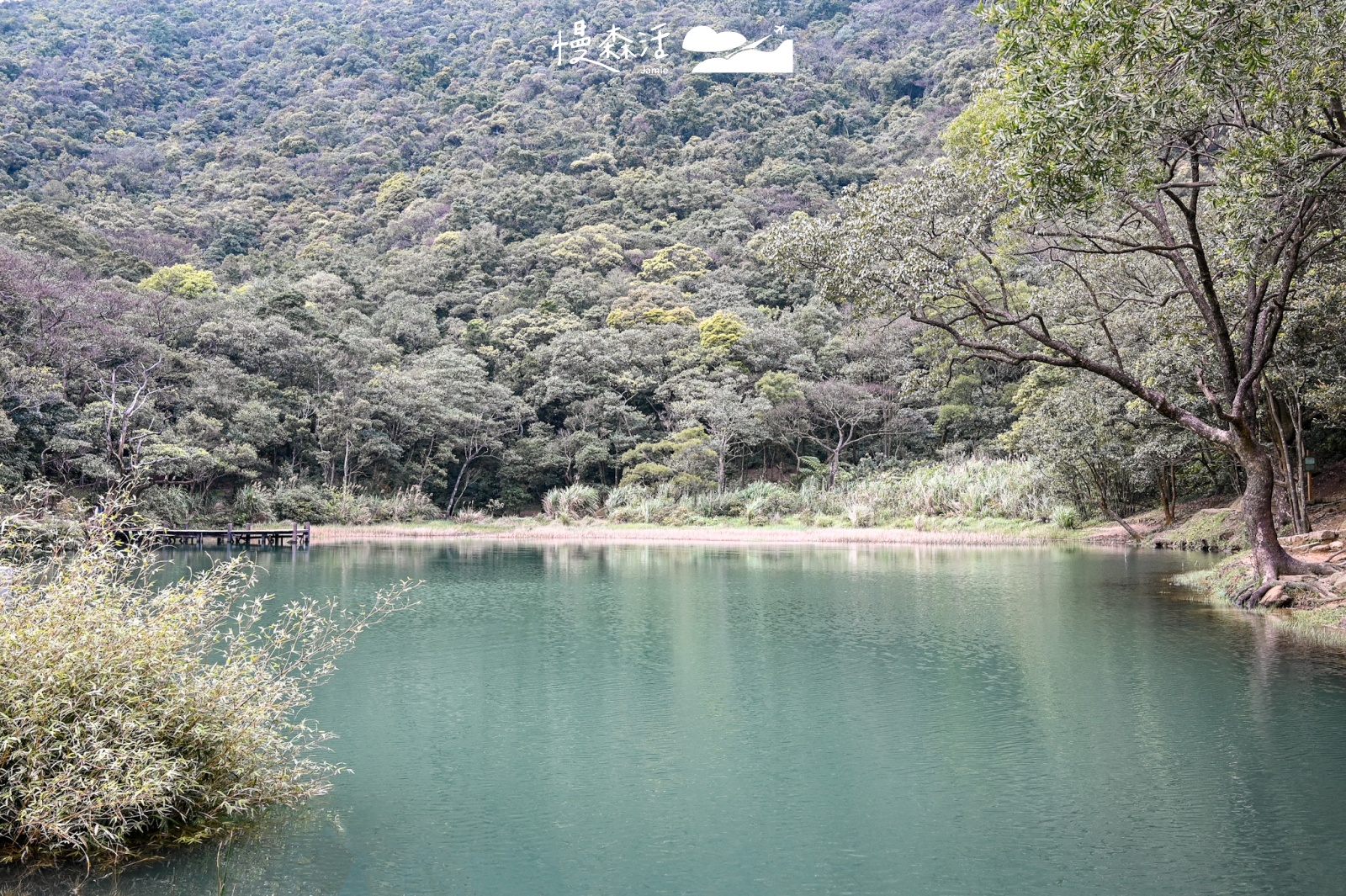 新北市汐止區｜新山夢湖