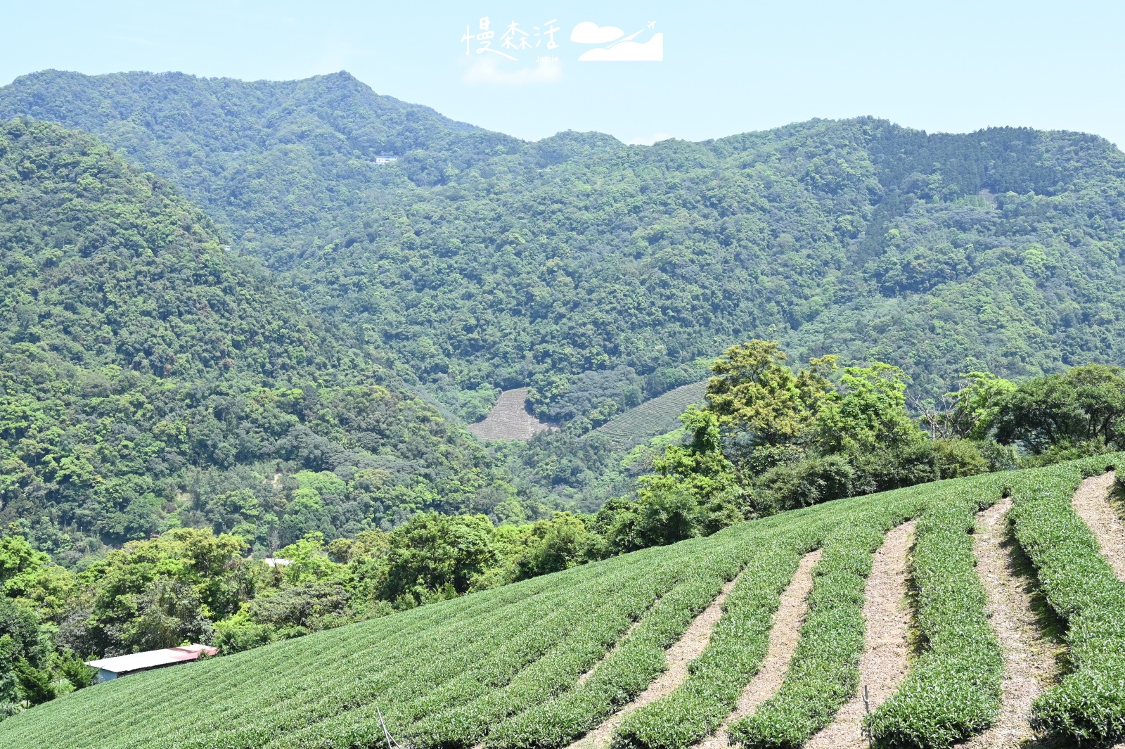 新北市石碇區｜鱷魚島