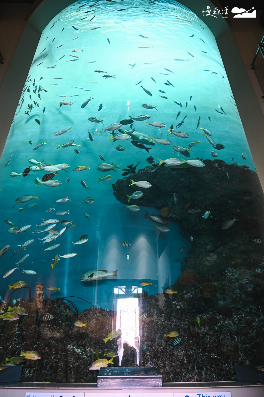 日本北海道登別市 登別尼克斯海洋公園 8米高水族箱