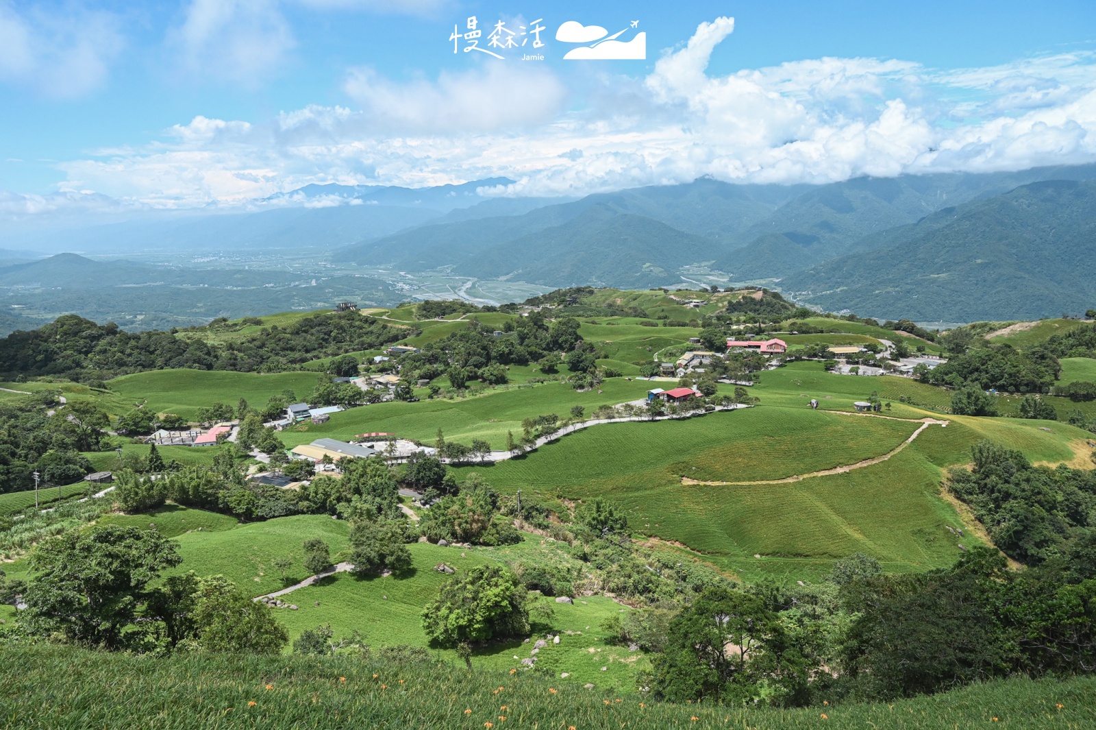 2023六十石山金針花季!300公頃花況、交通管制搶先看