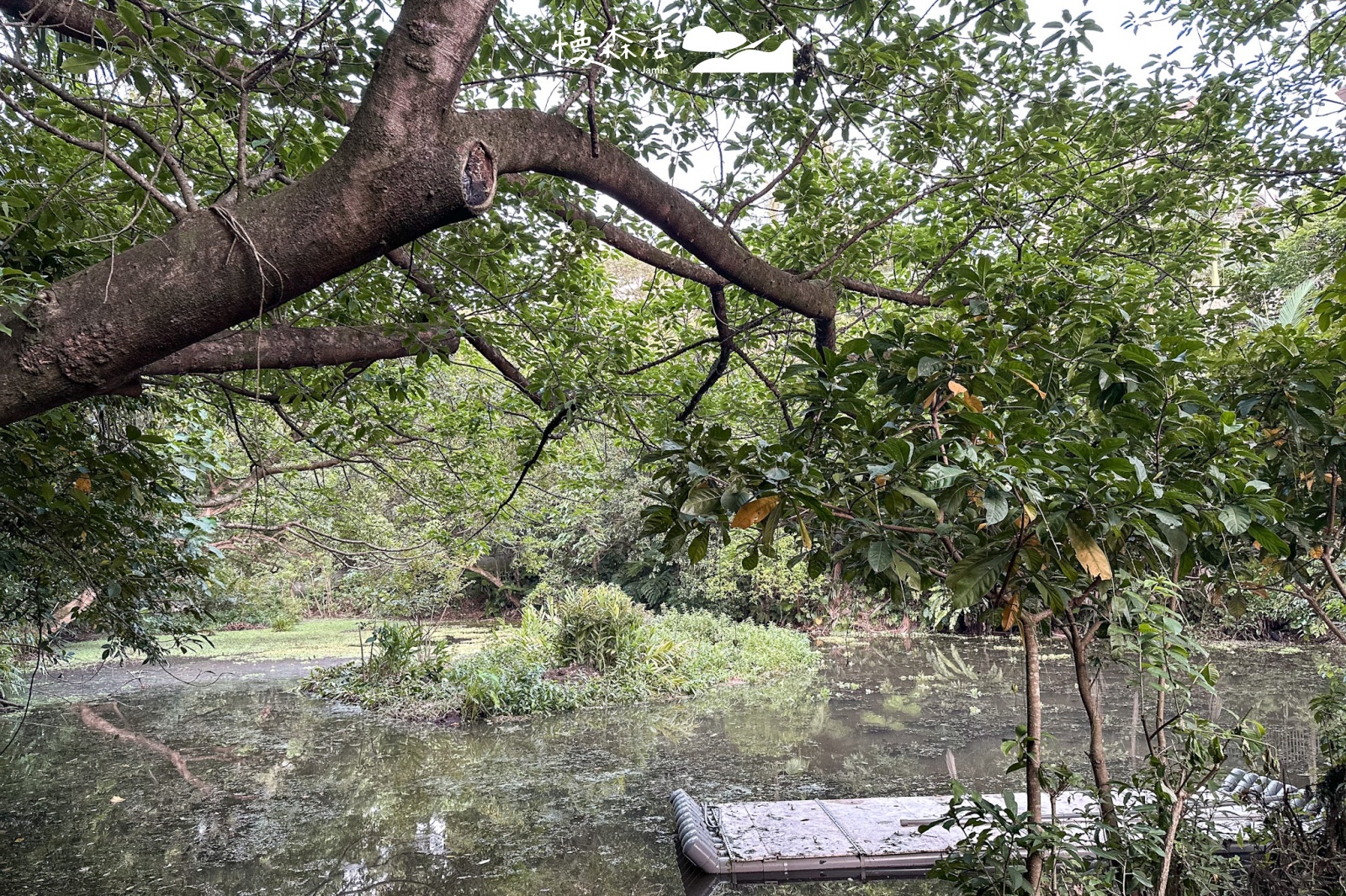 台北市文山區｜木柵公園翠湖