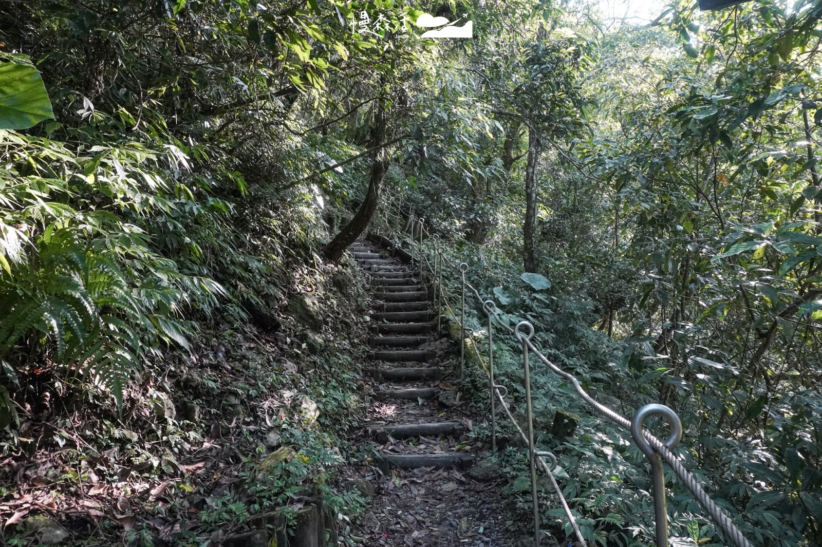 新北市烏來區｜烏來蝴蝶公園