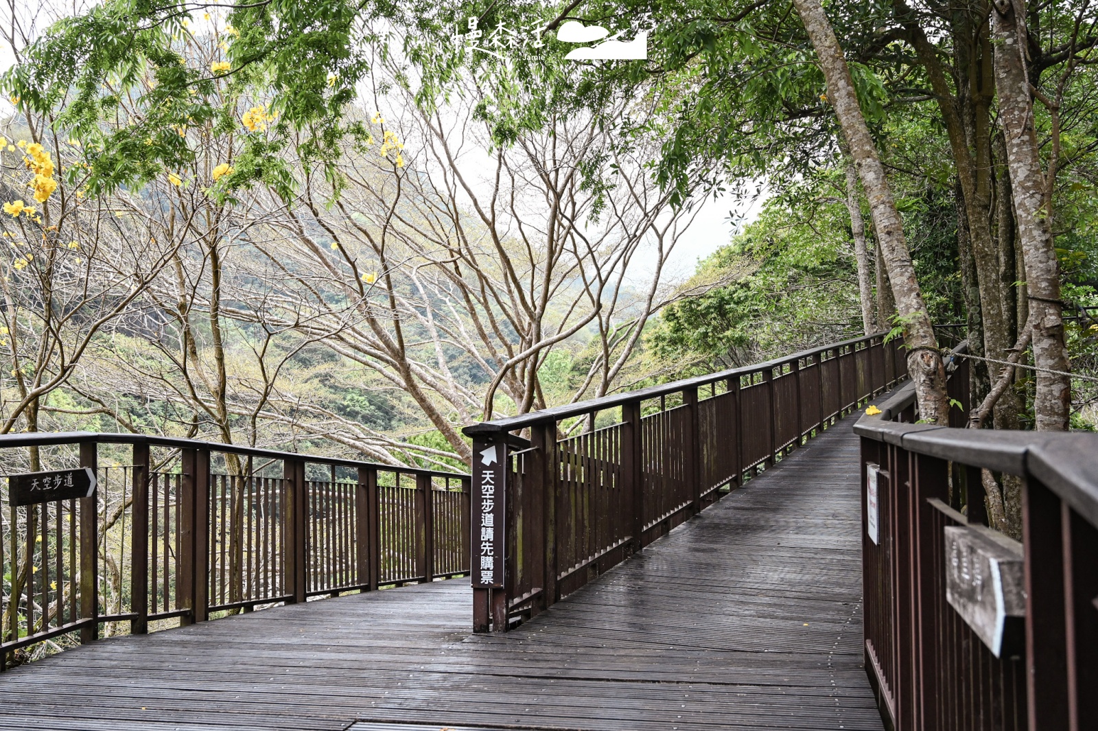 桃園小烏來風景特定區｜小烏來天空步道 水岸綠廊步道