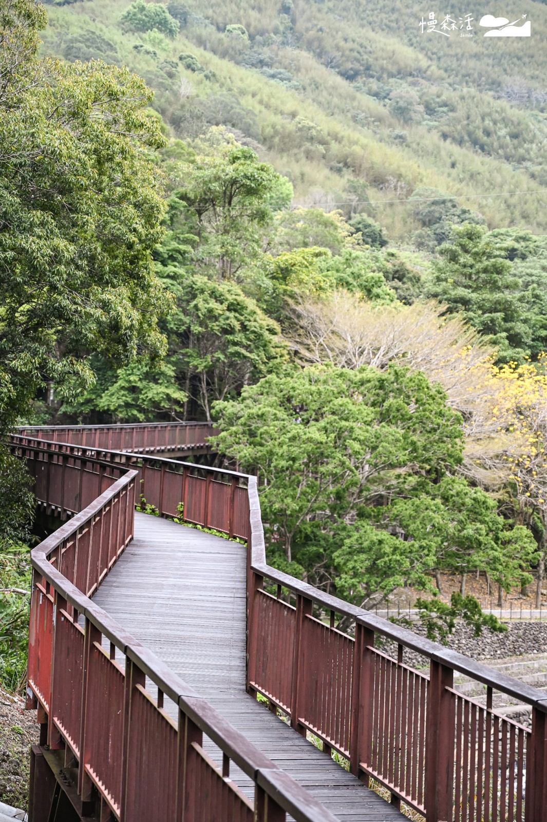 桃園小烏來風景特定區｜小烏來天空步道 水岸綠廊步道