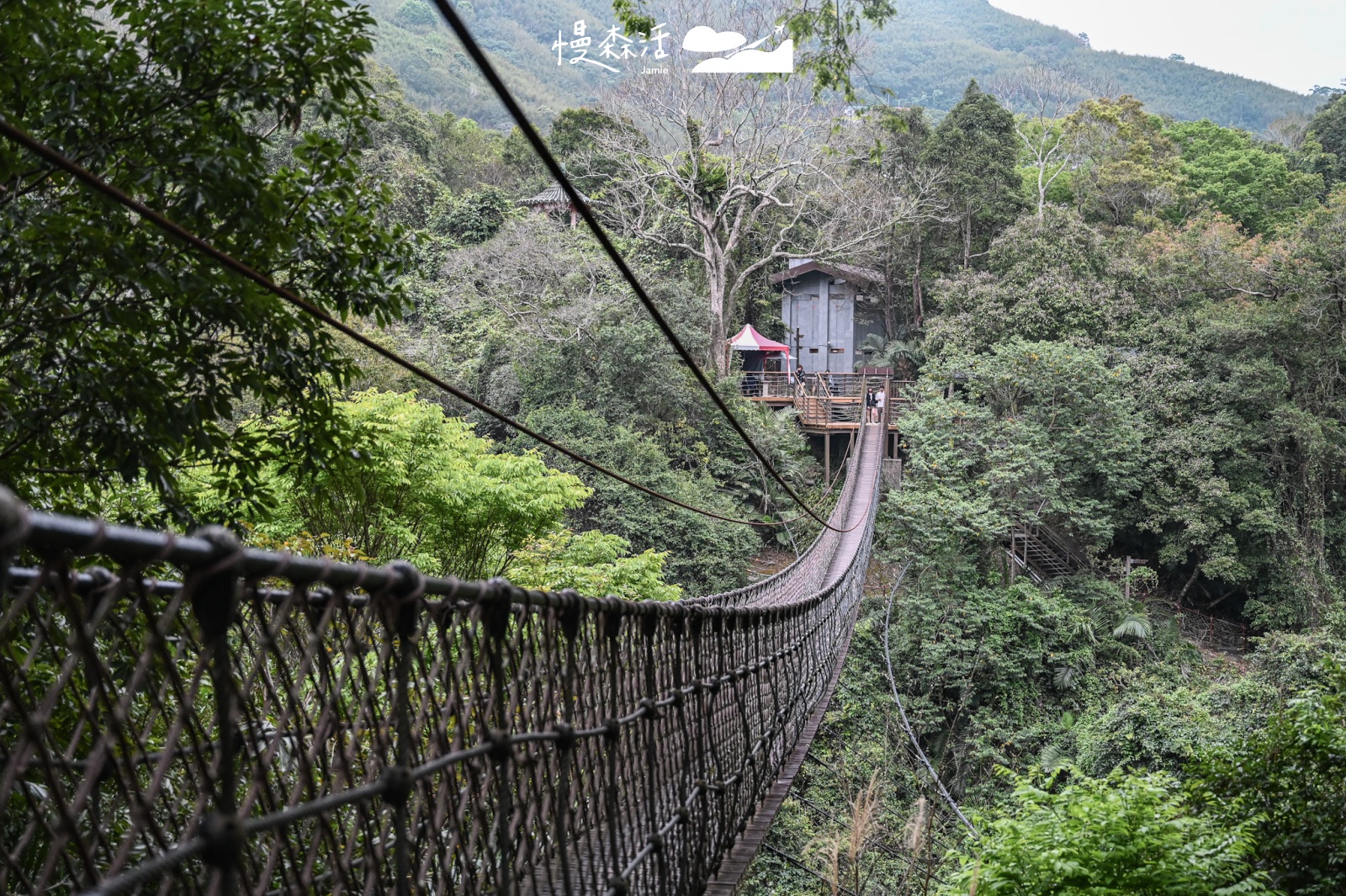 桃園小烏來風景特定區｜小烏來天空步道 天空繩橋