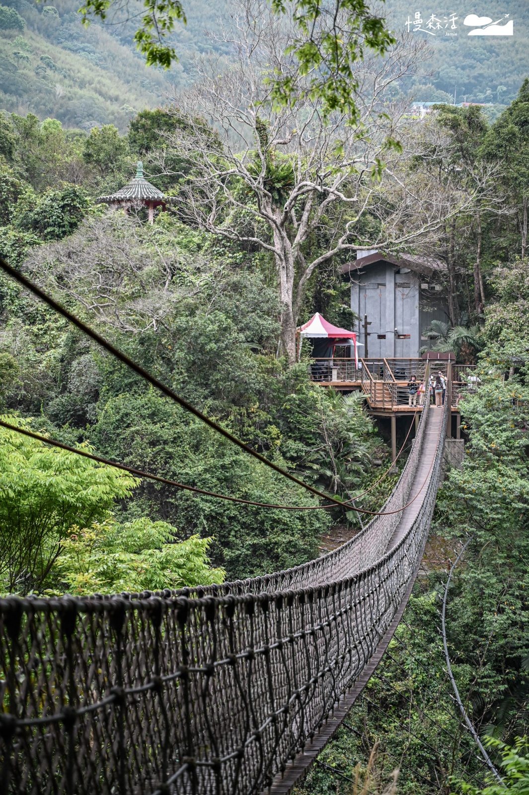 桃園小烏來風景特定區｜小烏來天空步道 天空繩橋