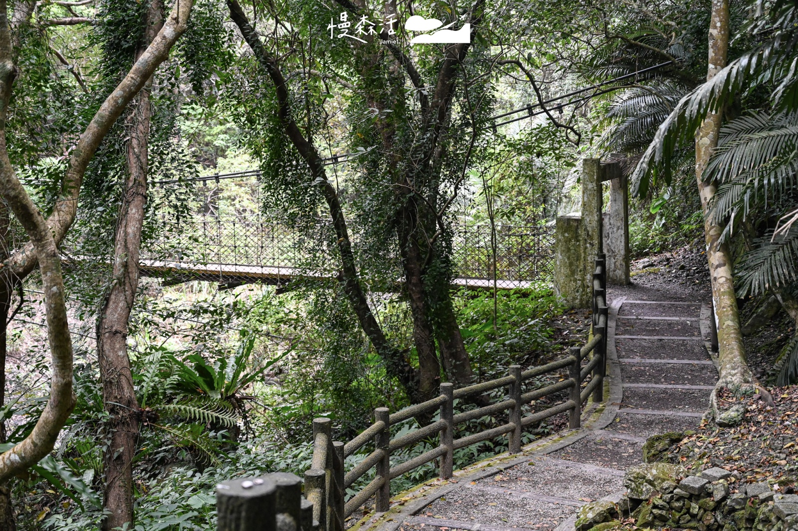 桃園小烏來風景特定區｜小烏來天空步道 和平吊橋