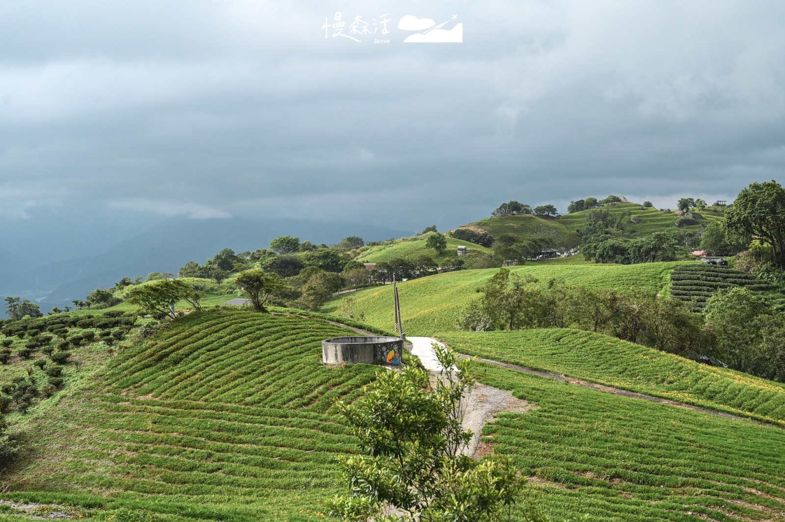 花蓮富里鄉 六十石山金針花山景