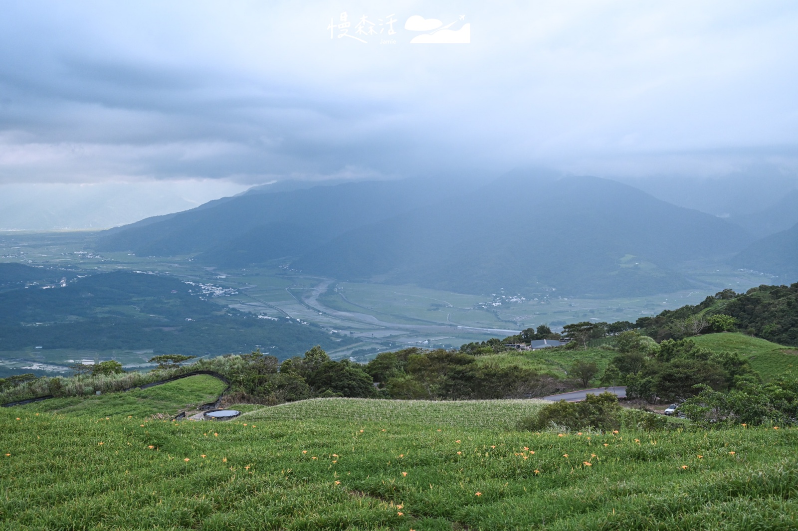 花蓮富里鄉 六十石山金針花和山景