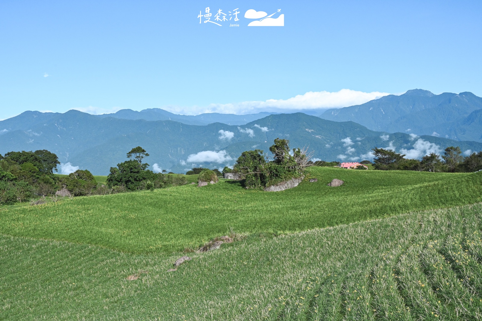 花蓮富里鄉 六十石山金針花山景