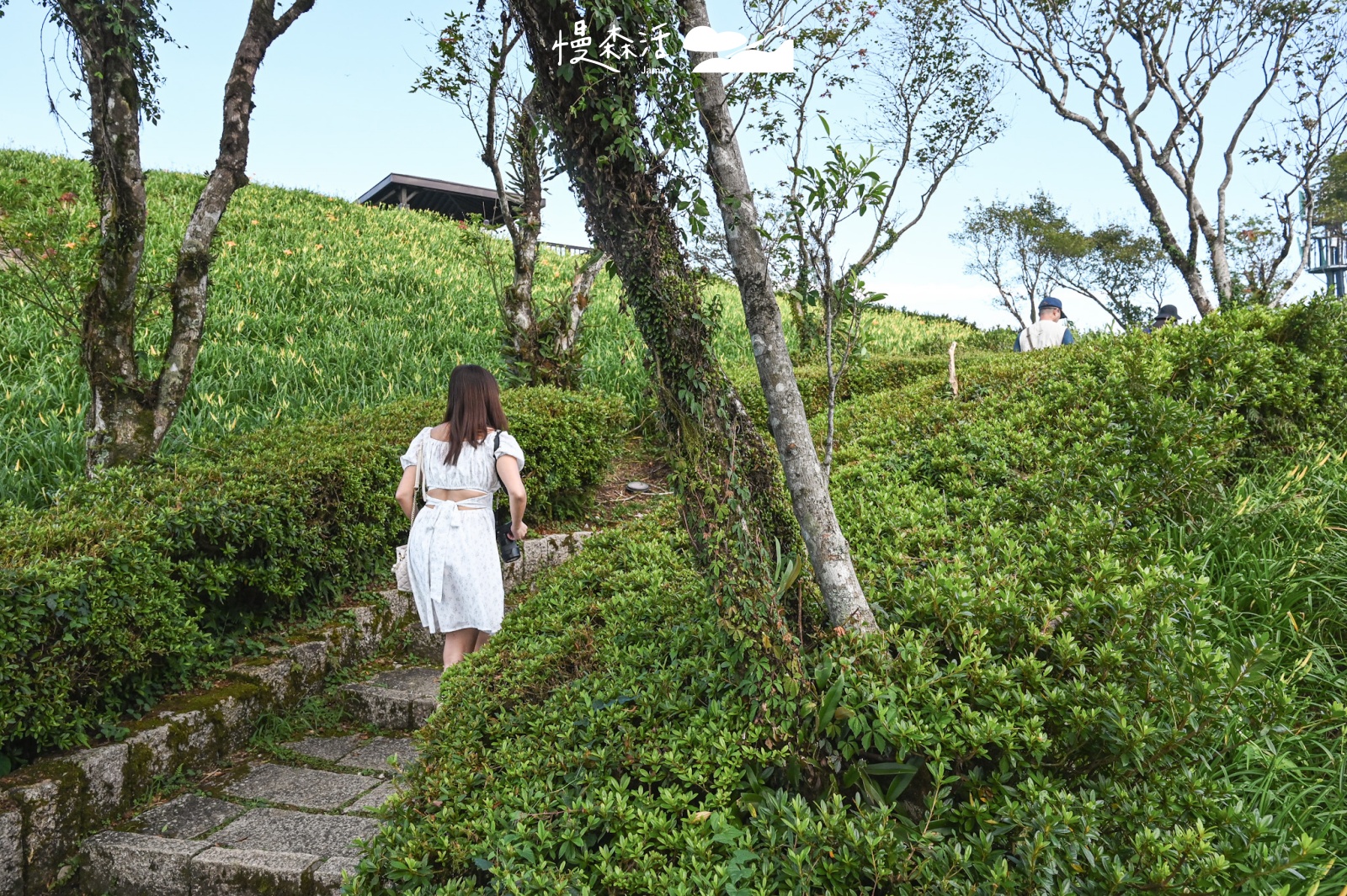 花蓮富里鄉 六十石山 前往涼亭