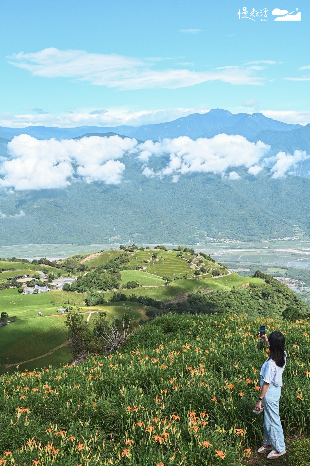 花蓮富里鄉 六十石山金針花山景