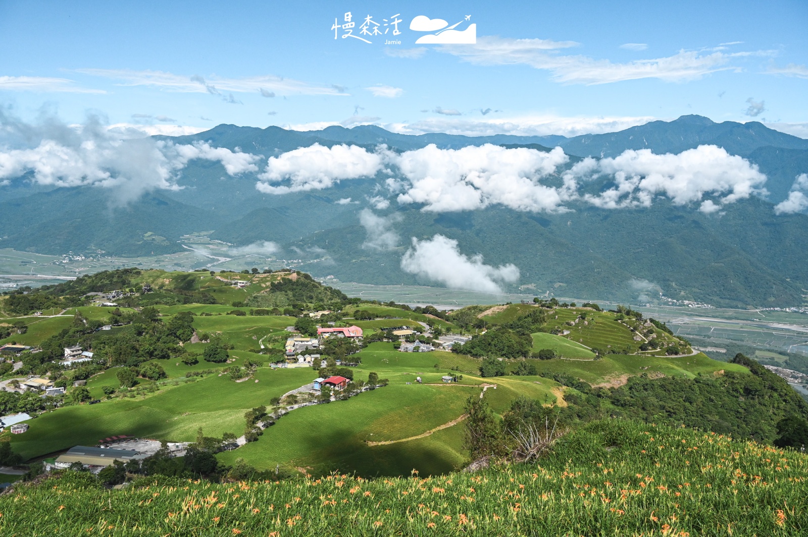 花蓮富里鄉 六十石山金針花海