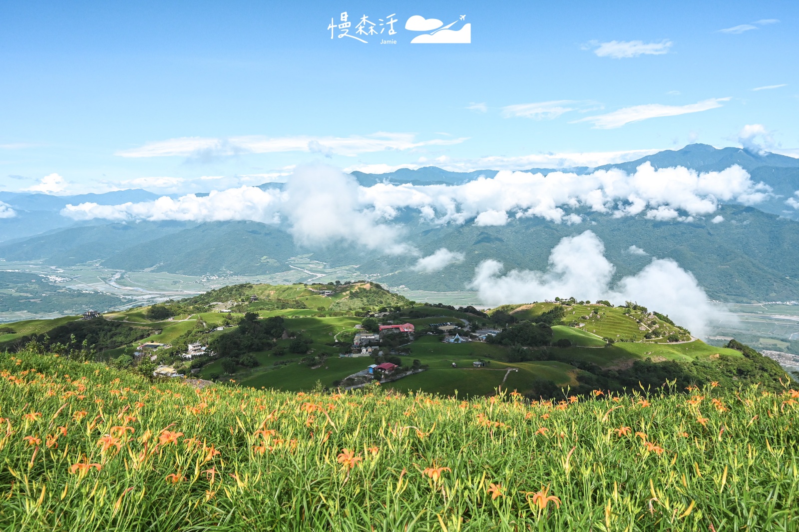 花蓮富里鄉 六十石山金針花海