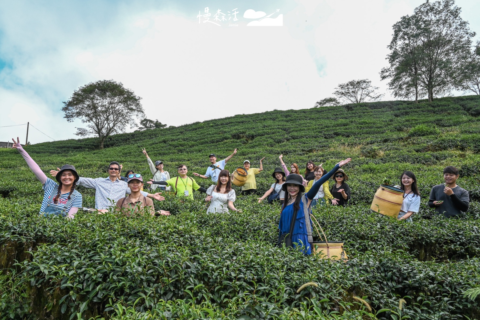 花蓮富里鄉 六十石山採茶體驗