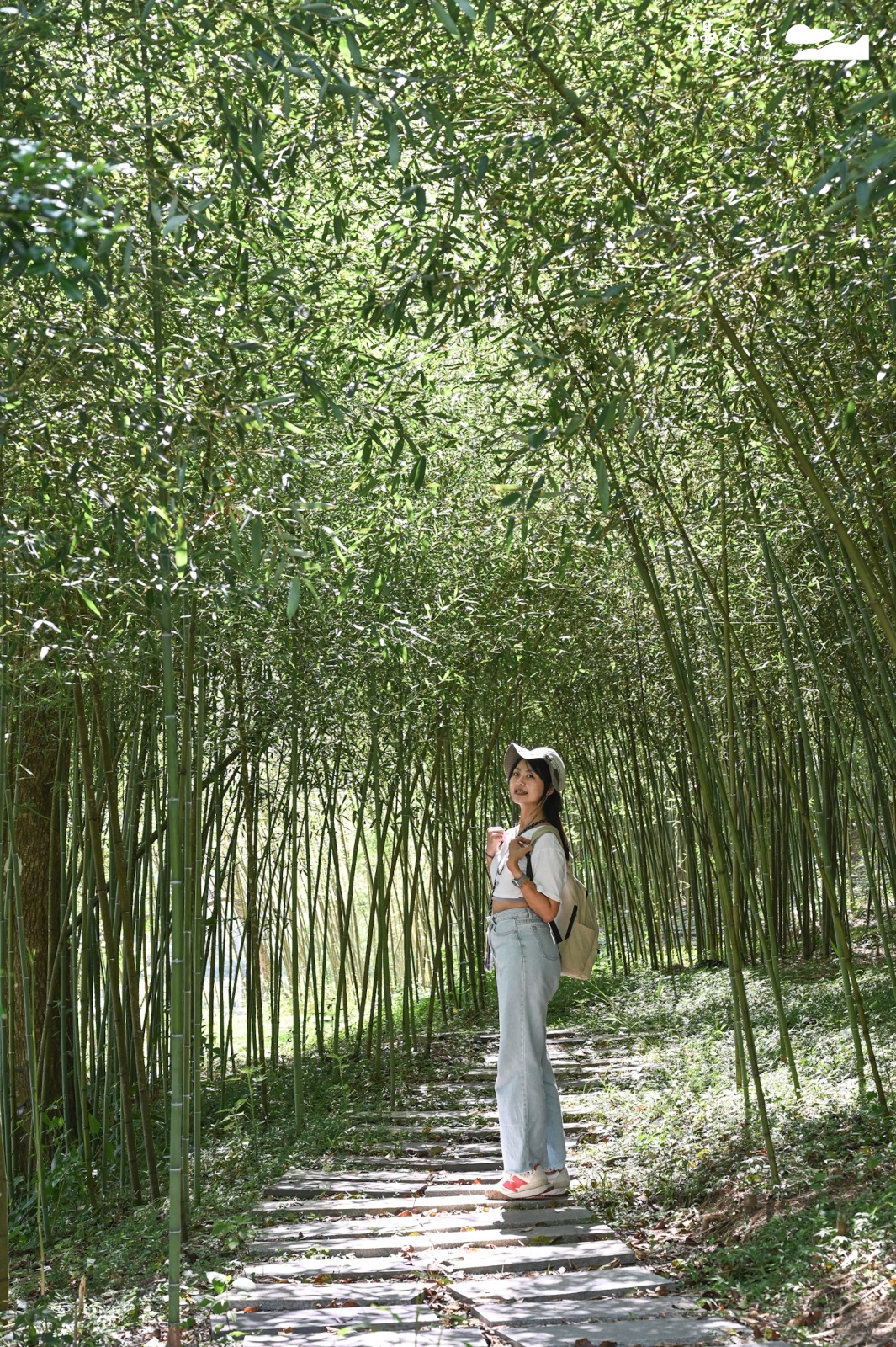 花蓮富里鄉｜羅山竹林步道