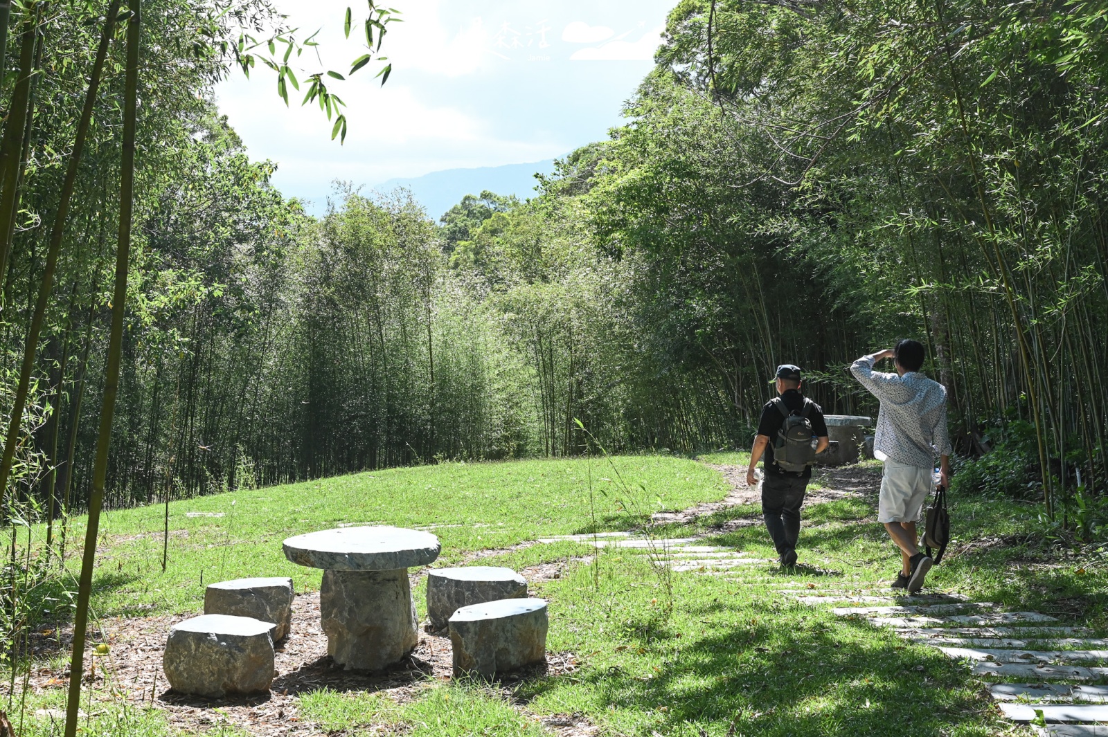 花蓮富里鄉｜羅山竹林步道