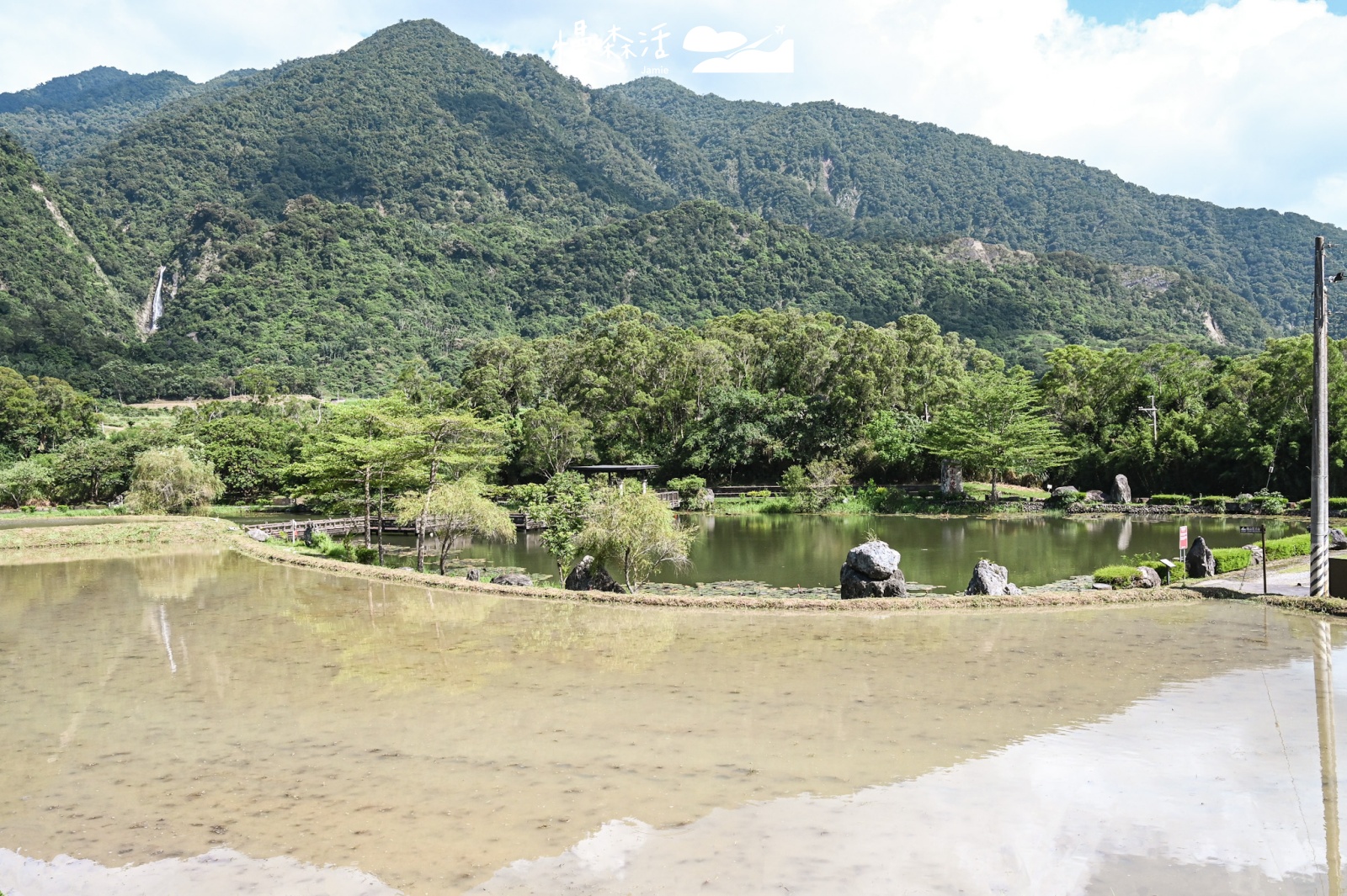 花蓮富里鄉｜羅山竹林步道