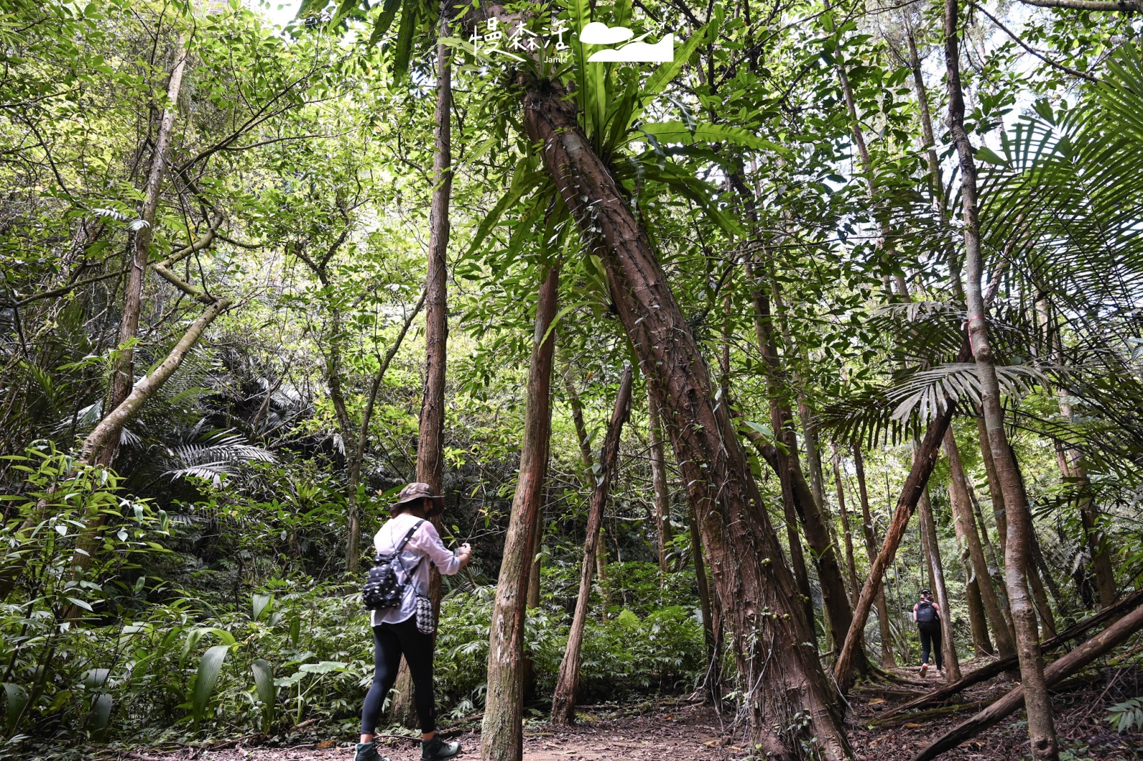 新北市平溪區｜嶺腳寮登山步道