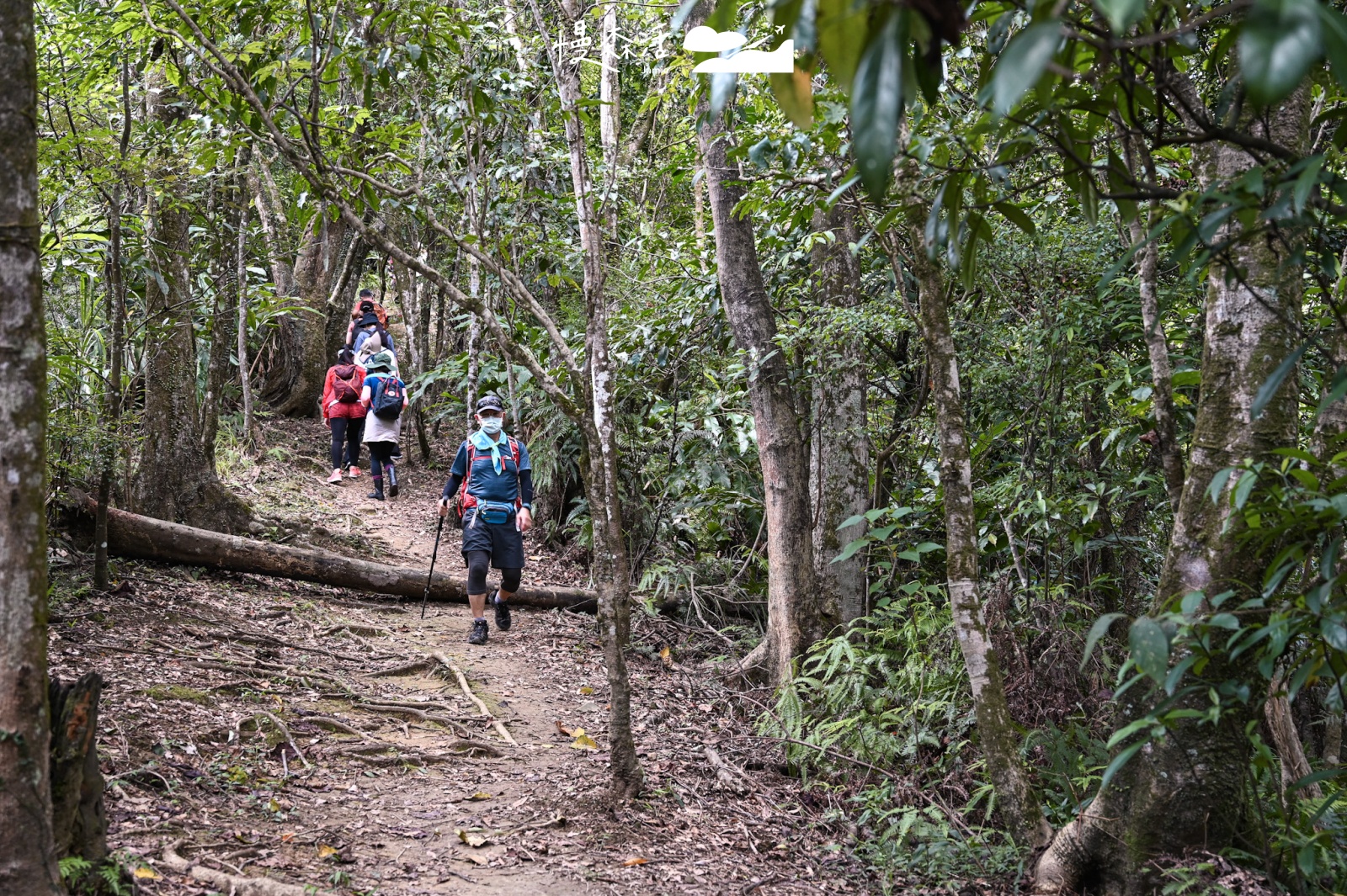 新北市平溪區｜嶺腳寮登山步道