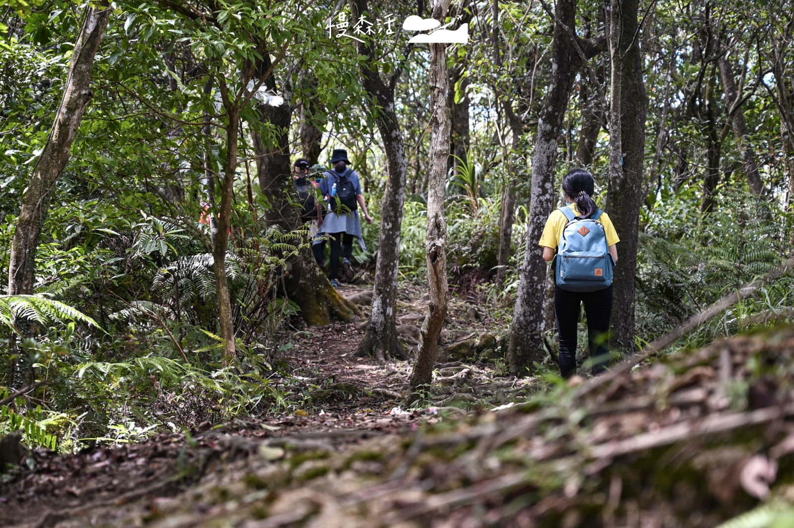 新北市平溪區|嶺腳寮登山步道