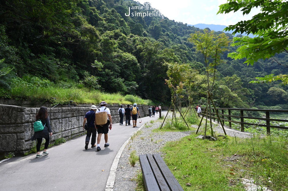 新北市烏來區 烏來內洞國家森林遊樂區