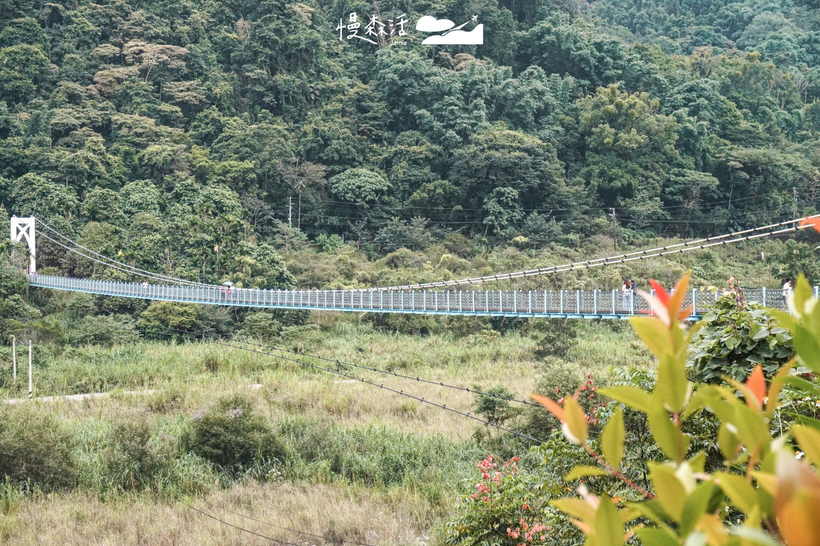 台中山谷秘境！白鹿吊橋近谷關溫泉是實用也具觀光景點