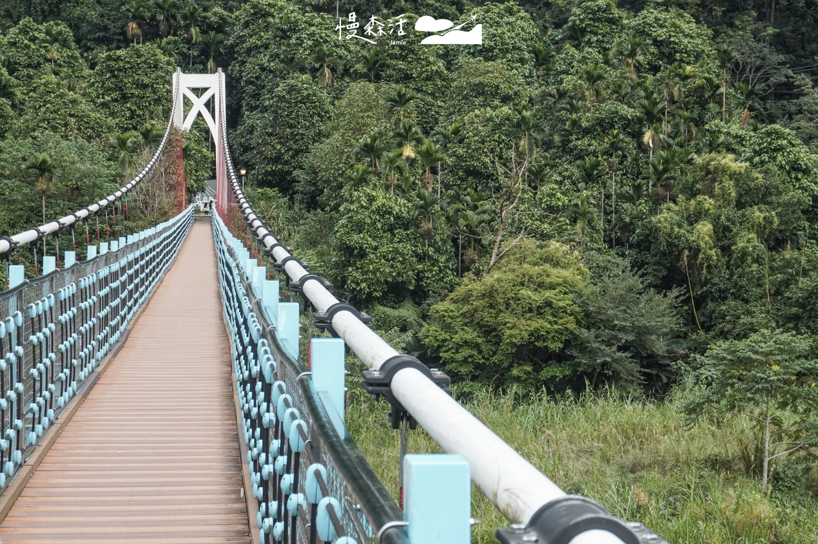 台中市和平區「白鹿吊橋」