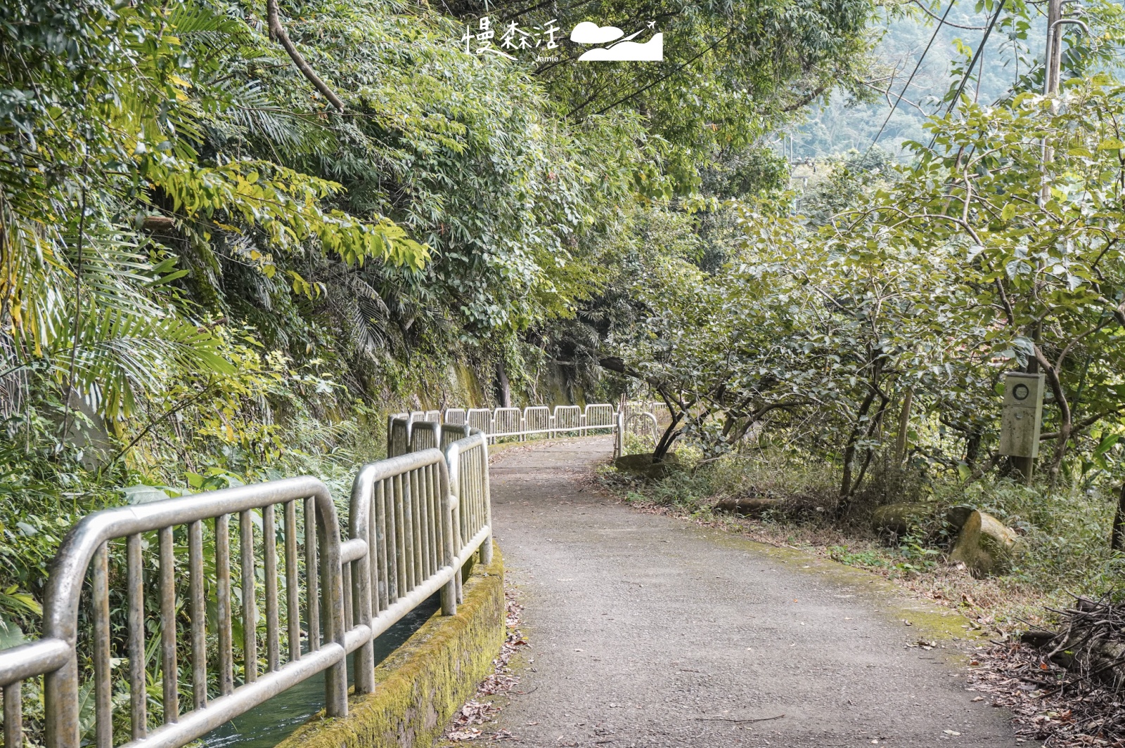 台中市和平區「白鹿吊橋」對岸