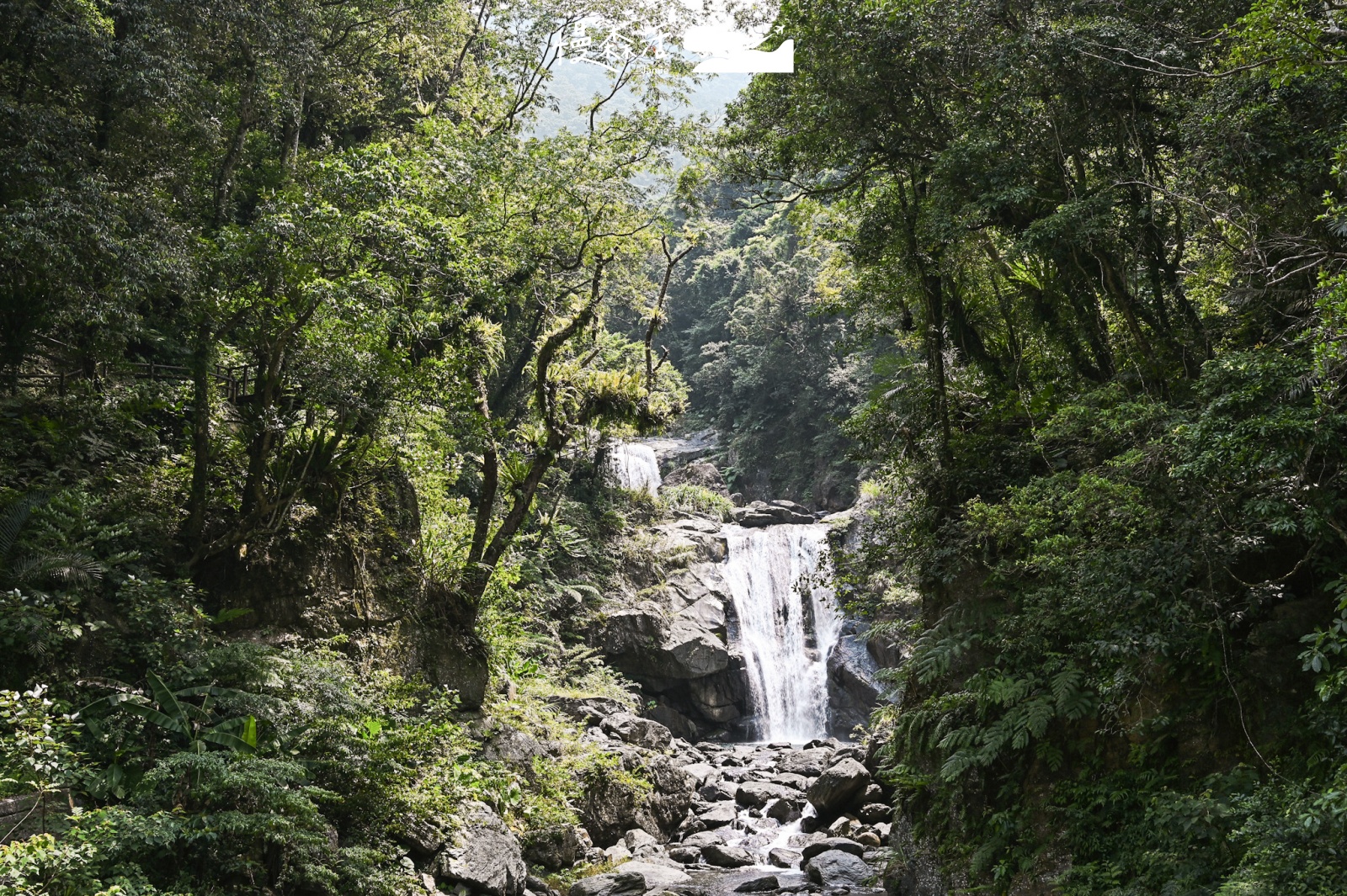 新北市烏來區｜內洞國家森林遊樂區