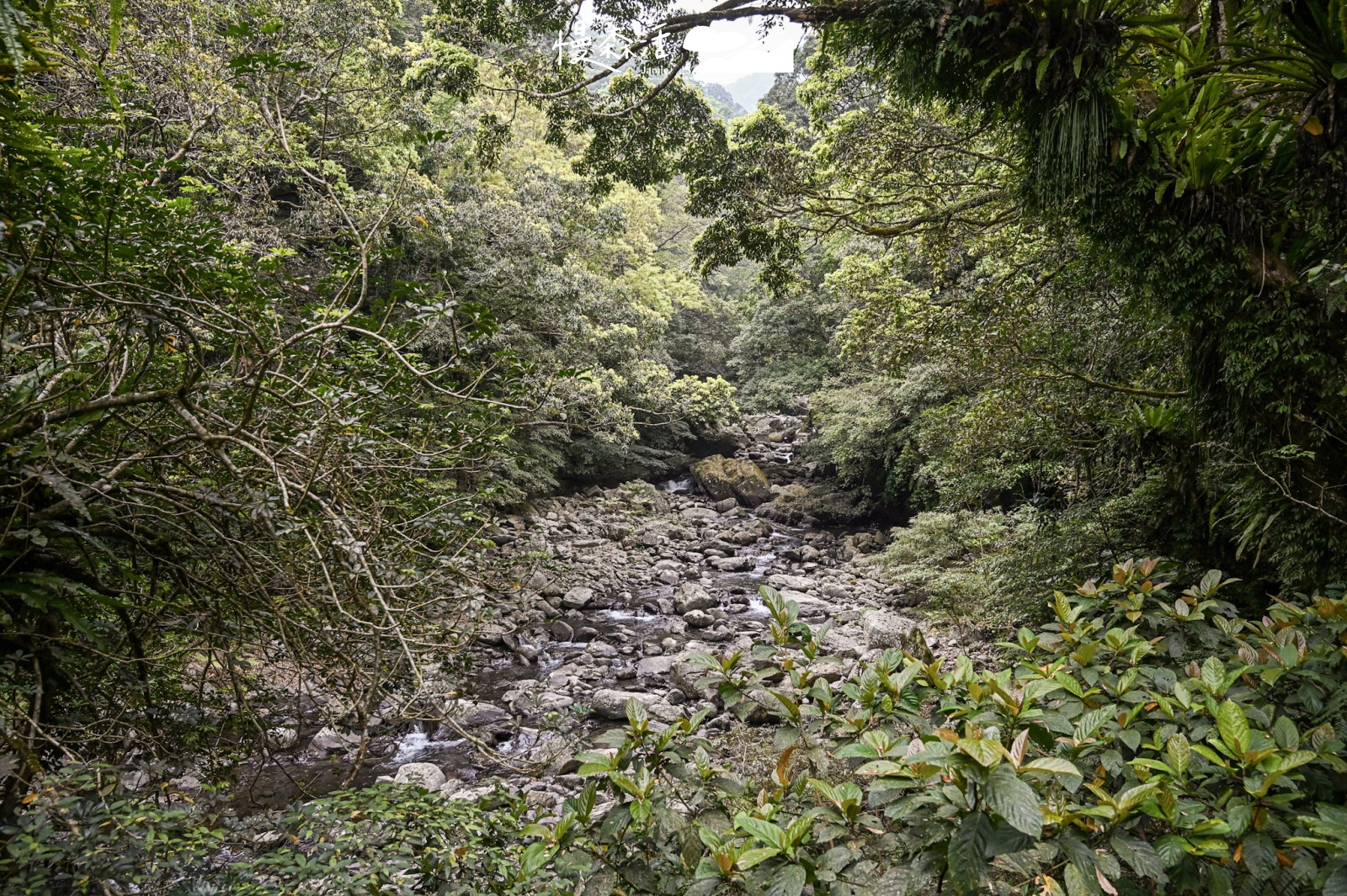 新北市三峽區 滿月圓國家森林遊樂區