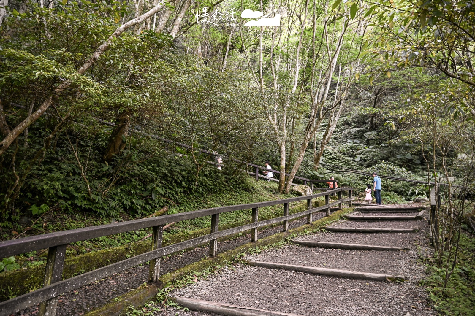 新北市山峽區｜滿月圓國家森林遊樂區